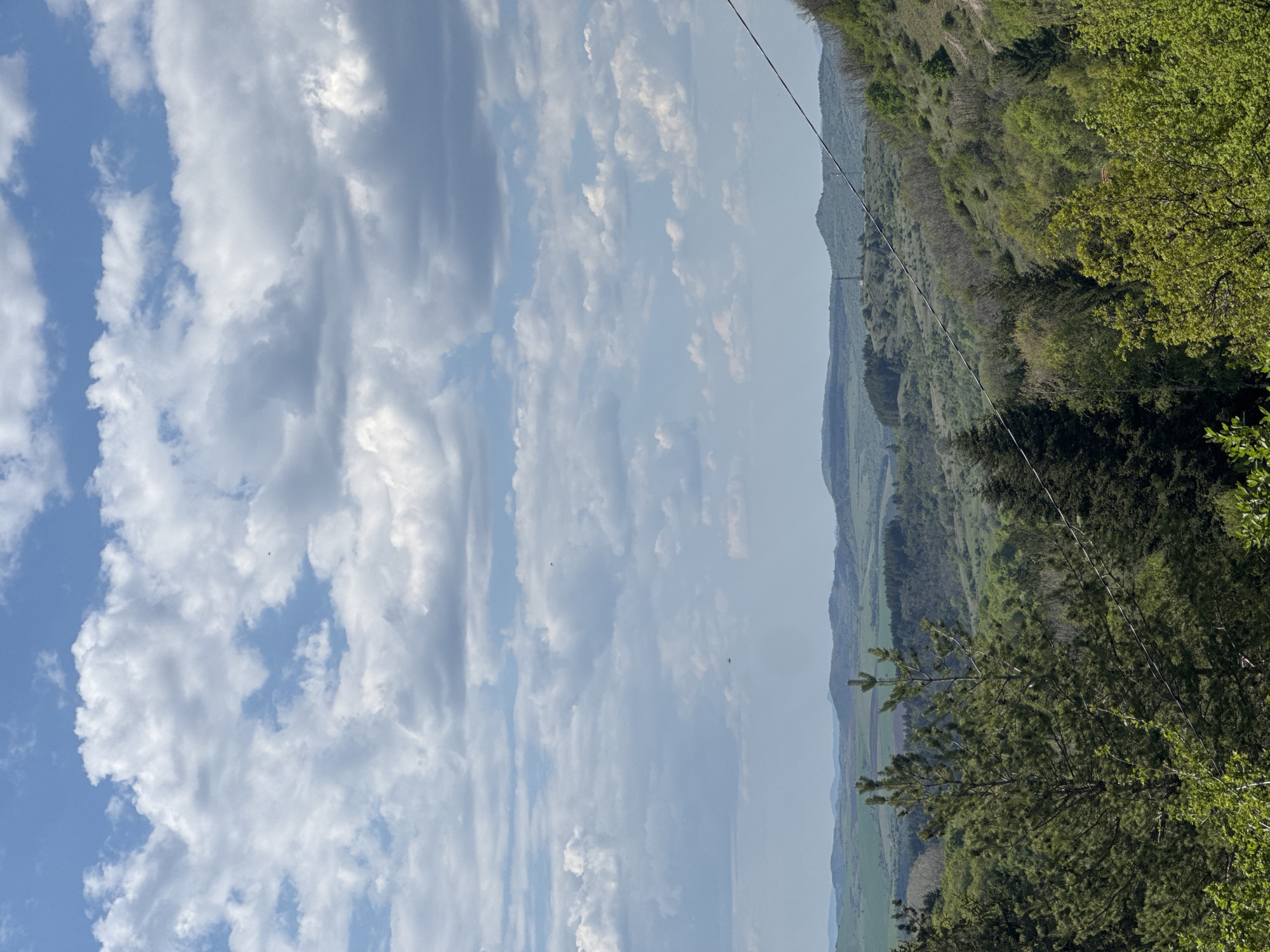The image presents a landscape view taken in Mala Rakovitsa, Bulgaria. The sky occupies a significant portion, filled with white cumulus clouds against a blue background. A range of hills covered in dense green forest stretches across the middle ground. In the foreground, tree foliage is visible. Power lines are present.