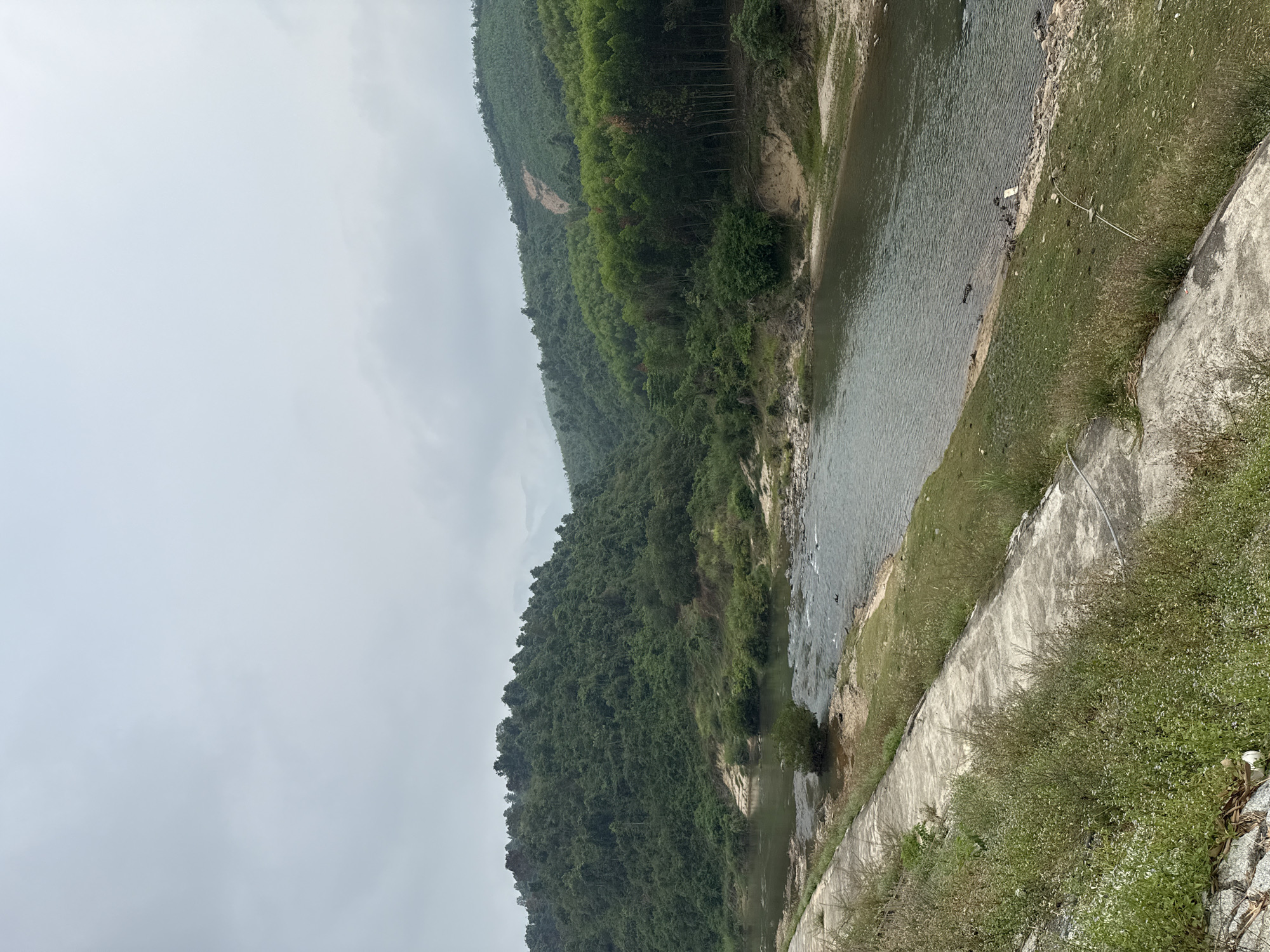 The image displays a tranquil natural landscape, likely in Nam Khanh Vinh, Vietnam, featuring a river winding through hills under an overcast sky.
The main subjects are a river, densely forested hills, and a concrete embankment. The river, with its calm, grey-green water, flows from the upper-middle of the frame towards the bottom right. On the left side, lush green hills or mountains rise, covered in a dense canopy of trees, some appearing slender and tall. A lighter, crescent-shaped patch on one of the hills suggests a recent landslide or an area of exposed earth.
Along the immediate right bank of the river, there's a strip of green grass and sparse vegetation. Further to the right, a weathered concrete embankment or wall runs diagonally through the scene, separating the river and its adjacent grassy bank from an elevated area also covered in grass and small shrubs. Faint debris, possibly litter, can be seen near the water's edge in some sections, along with a thin white line that resembles a rope or cable.
No specific activity or event involving people or animals is taking place; the scene depicts a static natural environment. The notable details include an overcast sky, indicating cloudy weather and a diffused, soft light, which makes it difficult to ascertain the exact time of day beyond it not being direct sunlight. There are no visible location cues within the image itself beyond what is provided in the context. No text is visible in the media file.