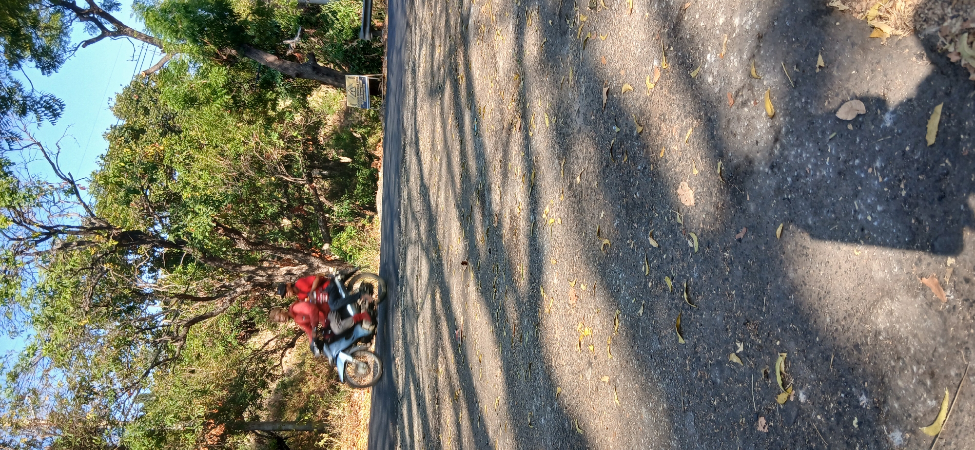 In Banyuglugur, Indonesia, two individuals are riding a silver motorcycle along a paved road. The rider in front wears a red shirt and a dark cap, while the passenger behind him also wears a red shirt. The motorcycle is in motion, indicated by the blur of the wheels. The road is lined with trees, their shadows dappling the asphalt. Scattered dry leaves are visible on the road surface. The sky is clear and blue. In the background, a yellow warning sign with a black border and a black exclamation mark inside a triangle is present. A metal guardrail is visible to the right of the sign. The scene appears to be a rural or semi-rural setting.