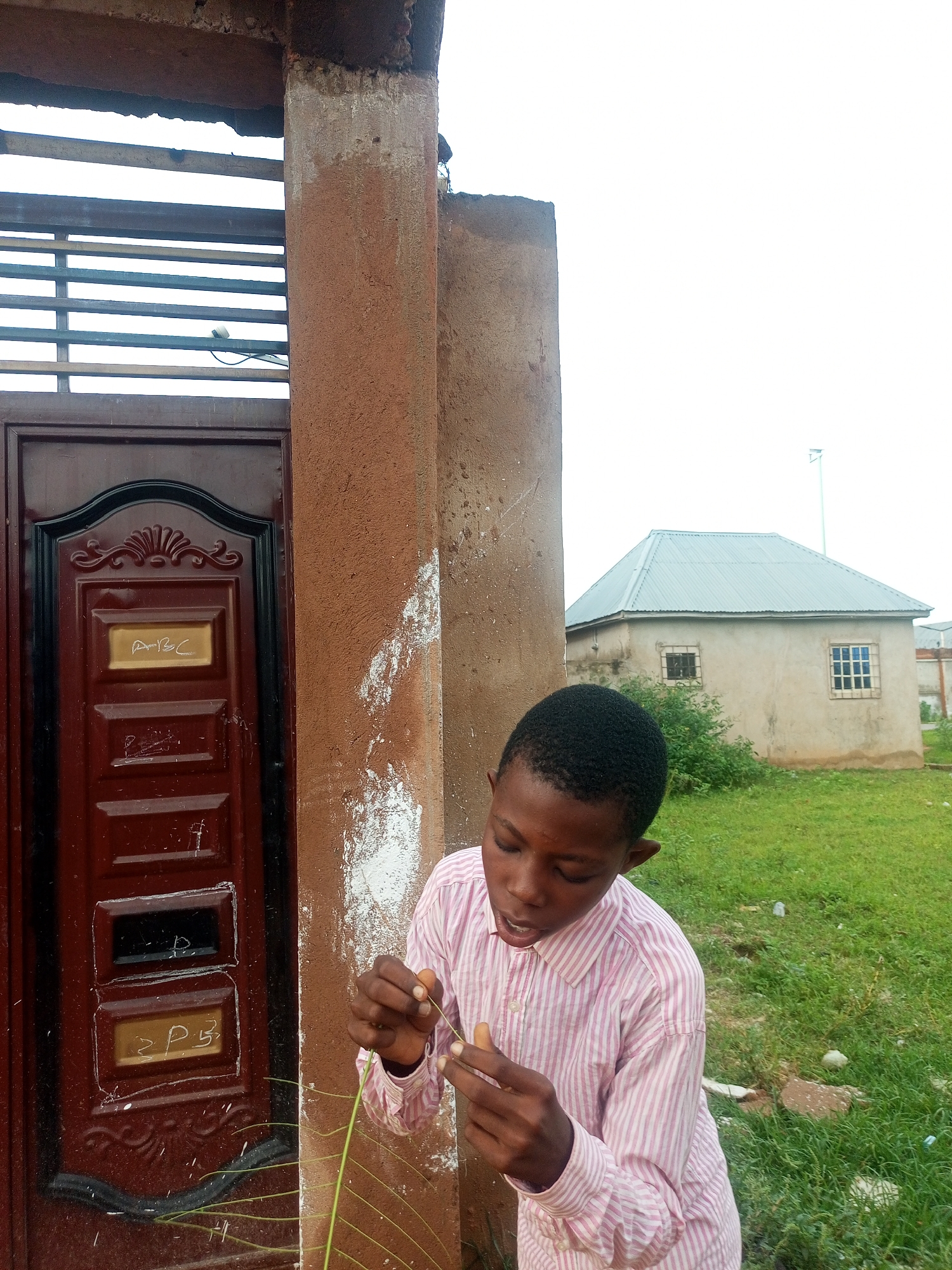 A young boy, wearing a pink and white striped long-sleeved shirt, stands to the right of a textured, reddish-brown pillar in what appears to be Tempure, Nigeria. His head is bowed, and he is looking down at his hands, which are manipulating a thin, green leafy stem. A maroon door with black trim and decorative elements is visible to the left of the pillar. Behind the boy and to the right, a pale, single-story building with a corrugated metal roof and two windows can be seen, set against a backdrop of green grass and a hazy, bright sky.