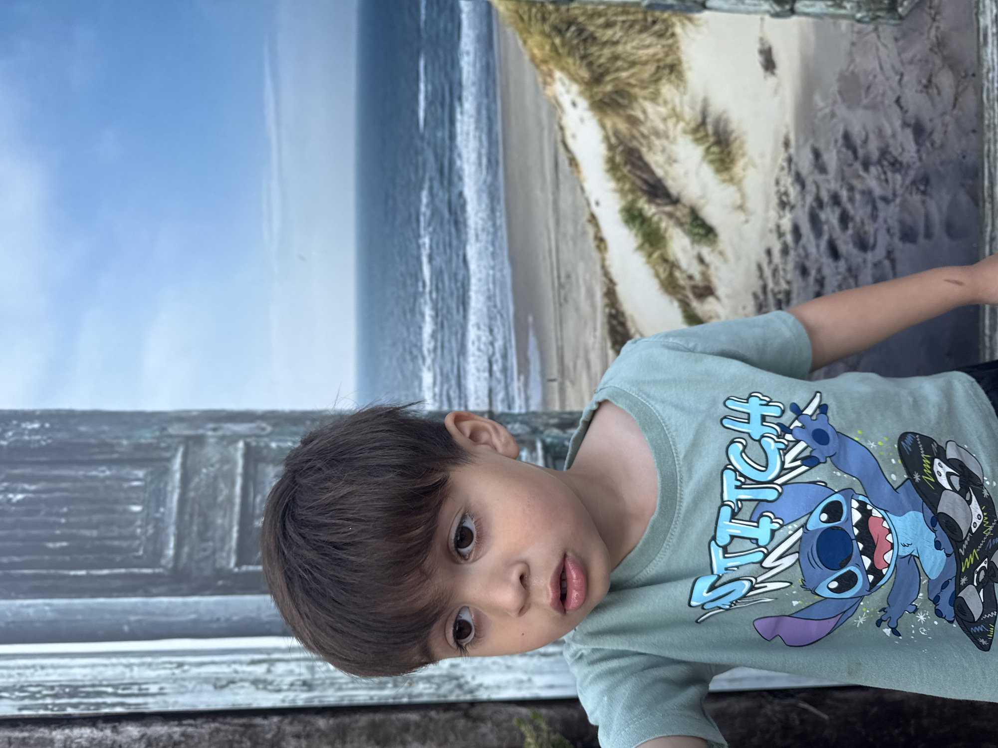 A photograph shows a young boy wearing a green t-shirt with a "Stitch" design. He stands facing the camera, with his face slightly tilted. The background appears to be a painted mural, portraying a beach scene with dunes, ocean waves, and a blue sky. The image suggests the location may be Petten, Netherlands, due to the presence of similar coastal landscapes there. Additional elements include an old, gray, wooden panel in the corner of the image.