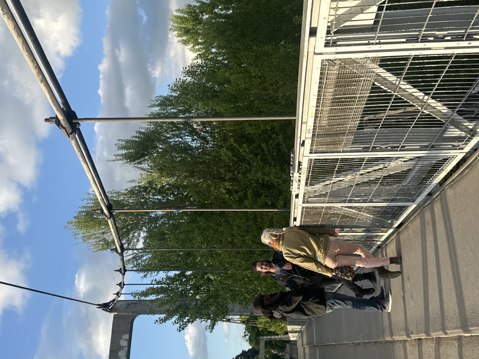 The image shows three people standing on a pedestrian bridge in Tours, France, located at coordinates 47.399 latitude and 0.693 longitude. Two men and a woman are standing on the bridge, facing each other. The man on the left is wearing a black jacket, a black hat, jeans, and black shoes. He is holding a bottle in his right hand. The man in the middle is wearing a black leather jacket, a black T-shirt, blue jeans, and black shoes. He is holding a bottle in his left hand. The woman on the right is wearing a beige jacket, a white shirt, beige pants, and brown boots. She is carrying a brown bag in her right hand. The bridge is made of steel and has a metal mesh railing. The bridge is surrounded by trees and bushes. The sky is blue with some white clouds. There is a white-painted concrete structure on the left side of the image. The bridge is located in the city of Tours, France. The pedestrians are interacting and talking to each other. There is a hint of sun shining through the clouds.