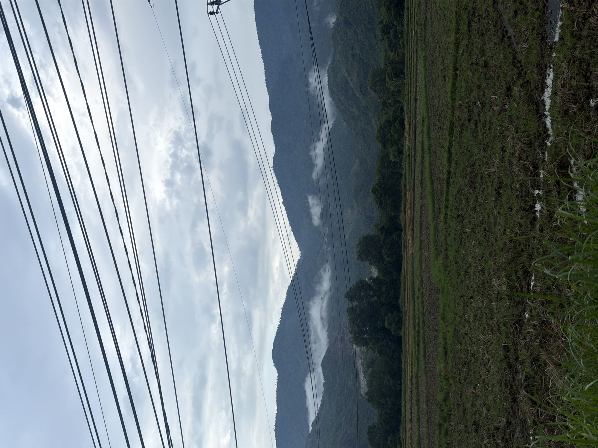 The image depicts a rural landscape in Diên Thọ, Vietnam. In the foreground, a muddy field, likely a rice paddy, shows signs of cultivation with patches of stubble and water. A line of green grass is visible at the very bottom edge. Beyond the field, a dense line of dark green trees forms a natural barrier. Behind the trees, a series of lush, green mountains rise, with pockets of white mist clinging to their slopes, suggesting a humid or overcast atmosphere. Several power lines are strung horizontally across the upper portion of the image, obscuring parts of the sky, which is a pale, cloudy grey. The overall impression is one of a serene, natural environment under a diffused light. There are no people or animals visible in the scene.