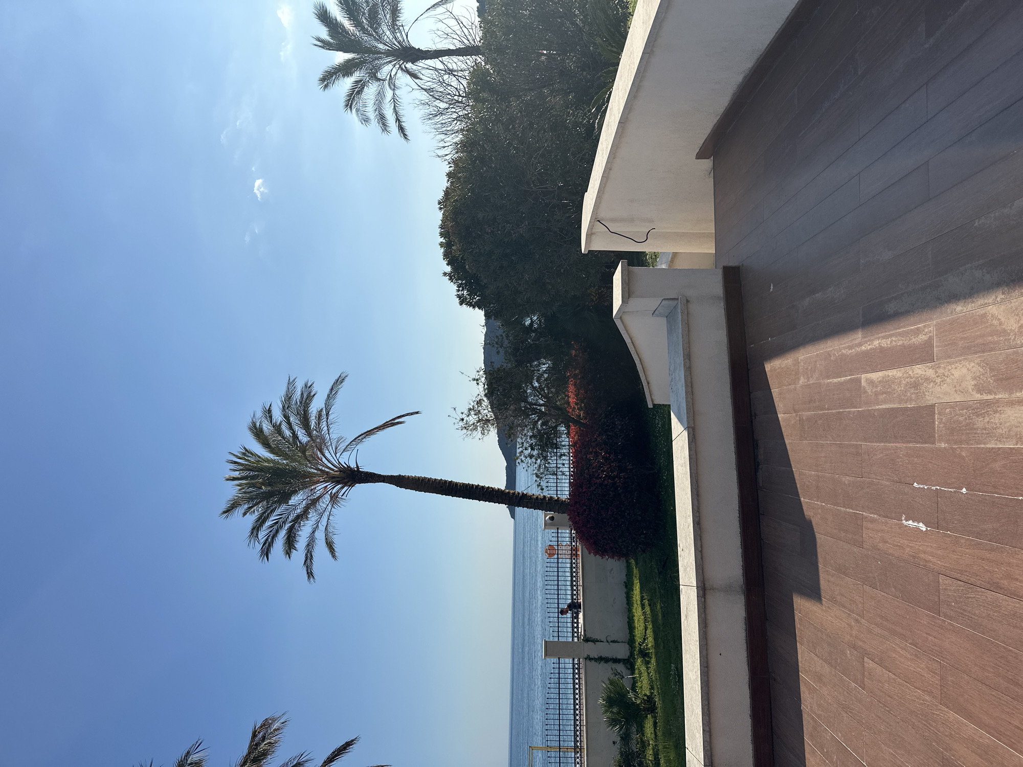 The image shows a view from a balcony in Boreti, Montenegro, overlooking the Adriatic Sea. A wooden-planked balcony is partially visible on the right side. A white, stuccoed wall with a curved top borders the balcony. Beyond the balcony, there is a manicured garden with dark green bushes, lighter green grass, and a dark red hedge. A black metal fence runs along the edge of the garden, separating it from the sea. The sea is a light blue color. On the left of the scene, there is a tall palm tree. In the background, there is a hillside covered with trees and vegetation, with a faint white building at the top. The sky is a clear, light blue.