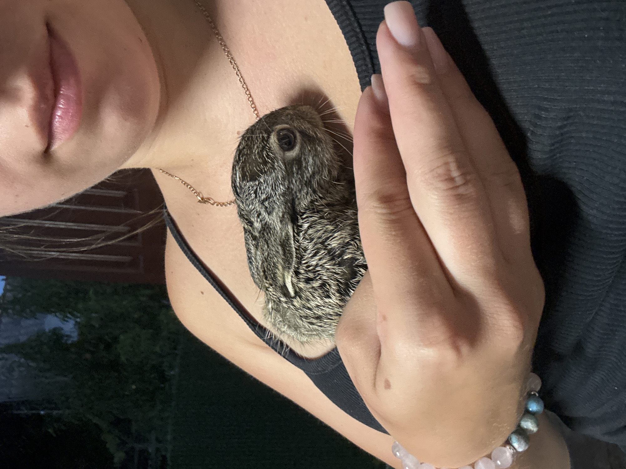 A young person is holding a baby rabbit against their chest, wearing a black tank top and a delicate gold necklace. The rabbit appears to be a wild hare, with brown and grey fur. The person's hands are gently supporting the animal. In the background, lush green foliage and a wooden structure are visible, suggesting an outdoor setting. The lighting indicates it is either dusk or evening. There are no specific landmarks visible that would identify the location as Chykalivka, Ukraine.