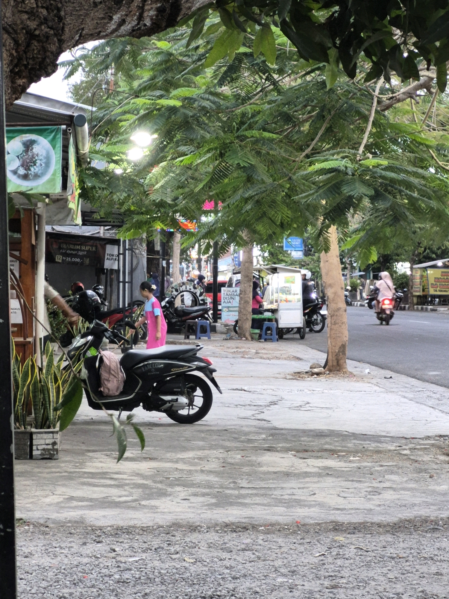 A street scene in Purworejo, Indonesia, features a sidewalk with several potted plants and parked motorcycles. A black motorcycle with a pink backpack on the seat is in the foreground. To the left, a young girl in a pink and blue dress is seen from the back, reaching towards a storefront. Behind her, a food cart with an awning is present. Further down the street, a woman on a motorcycle, wearing a pink headscarf, is riding away from the camera. Buildings line the street, some with signage indicating businesses. Trees with lush green foliage provide shade over the scene. The road is paved, and the sidewalk is made of concrete and gravel.