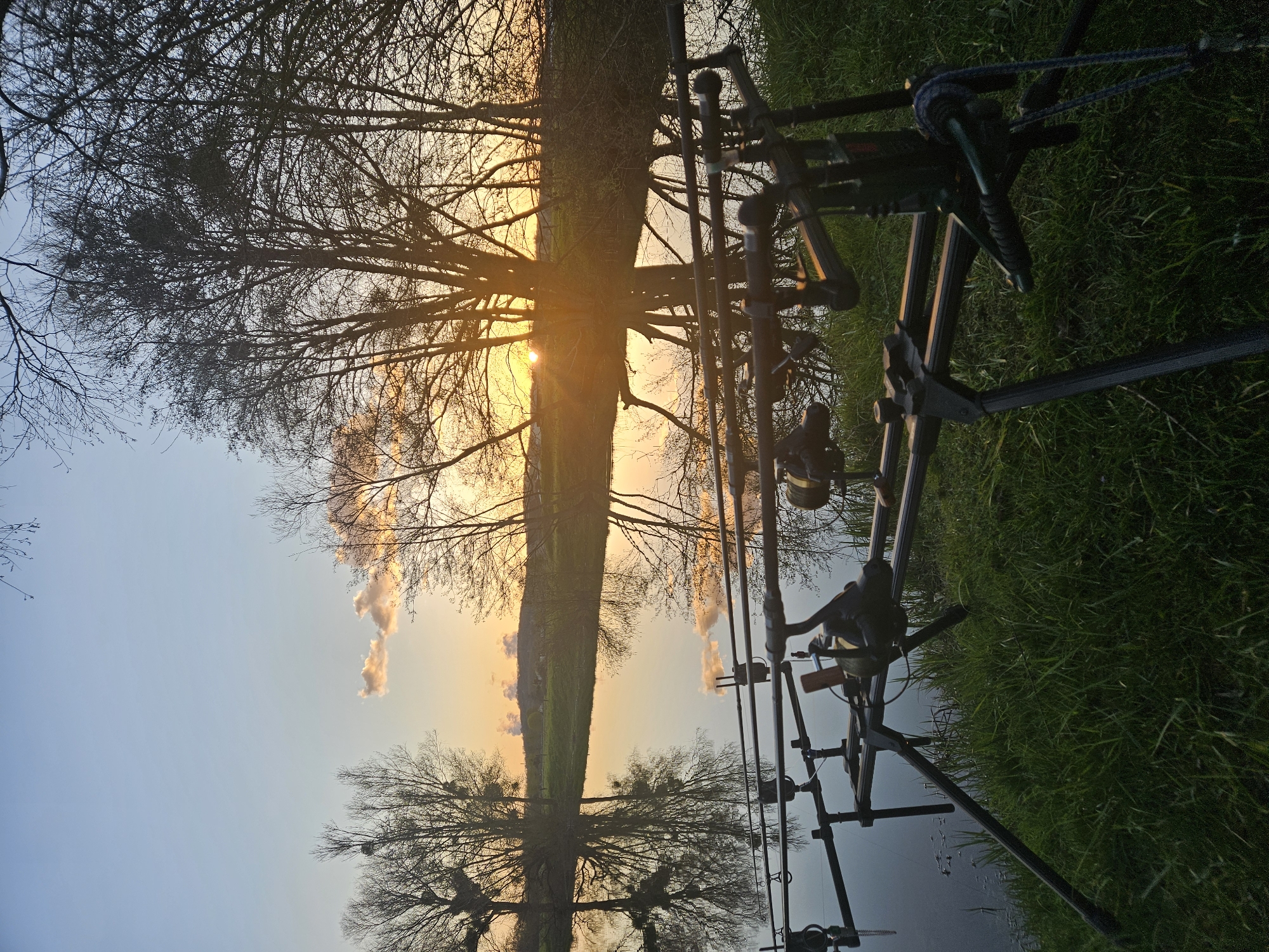 The image is a landscape oriented, outdoor shot taken at sunset or sunrise, likely in Gavisse, France. The foreground features a fishing rod stand with multiple rods and reels positioned on the right side of the frame. The backdrop displays a field bisected by a tree-lined path, with the sun situated along this path, creating a luminous effect. The sky ranges from a light blue at the bottom to a warm orange/yellow at the top where it meets the field, accompanied by a few wispy clouds. The scene gives a sense of tranquility, indicative of a person possibly fishing at dusk or dawn.