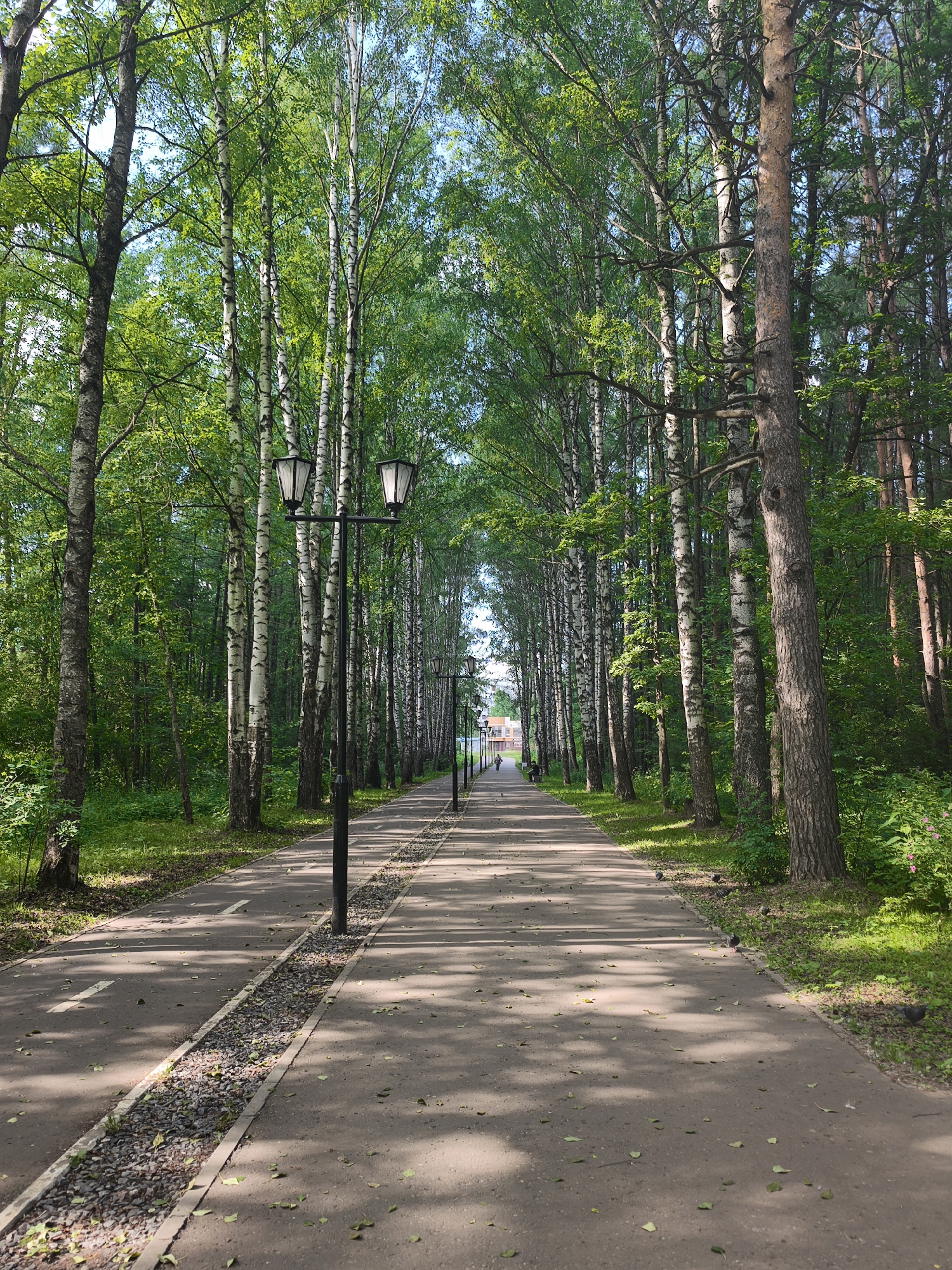 This is a vertical, medium shot of a park pathway lined with trees. The pathway is paved and has white lines indicating a bike lane. On the left side of the pathway, there is a narrow strip of gravel and then grass and trees. On the right side, there is also grass and trees. The pathway recedes into the distance, where it appears to lead to a building.
The trees are a mix of birch and pine, with lush green leaves. The sun is shining, casting dappled shadows on the pathway. The sky is a clear blue.
There are several streetlights along the pathway, indicating it's likely a park or public space. In the distance, a single person is walking on the pathway. Pigeons are scattered on the grass near the pathway. The overall mood of the image is peaceful and serene, suggesting a pleasant day for outdoor recreation.
No visible text is present in the image. Based on the location context, this scene is likely Yoshkar-Ola, Russia. The time of day appears to be daytime, likely late morning or early afternoon, given the bright sunlight and shadows. The weather is clear and pleasant.