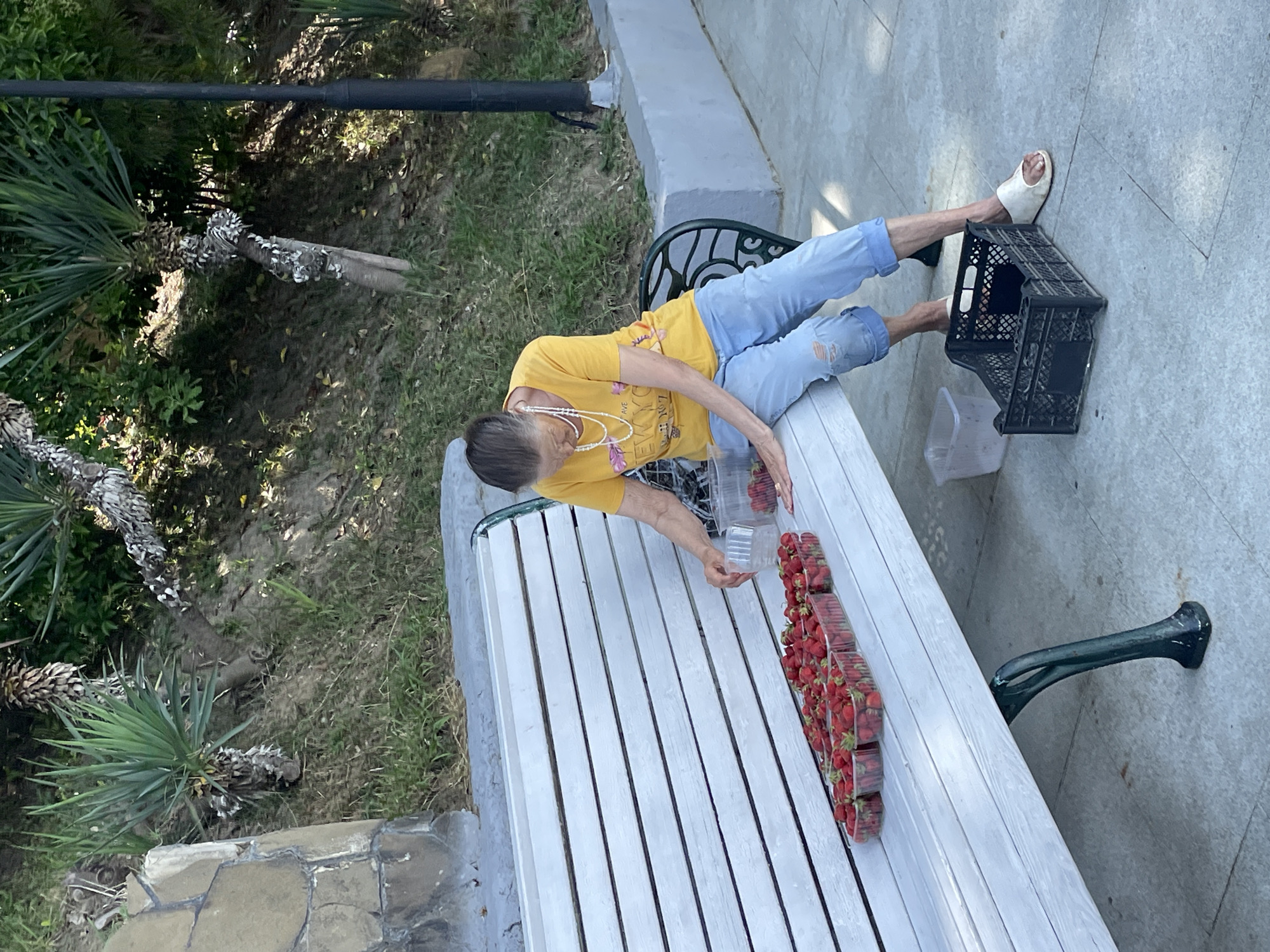 An elderly woman is sitting on a white wooden park bench in Sochi, Russia, with several plastic containers of strawberries arranged in front of her. She is wearing a yellow t-shirt, blue ripped jeans, and white sandals. The woman is looking down at the strawberries and appears to be sorting them. Next to the bench, on the ground, is a black plastic crate and a small clear plastic container. The bench is positioned on a paved walkway, with a grassy slope and some vegetation behind it. A black lamppost is visible to the right of the scene. The environment suggests an outdoor public space, possibly a park or promenade.