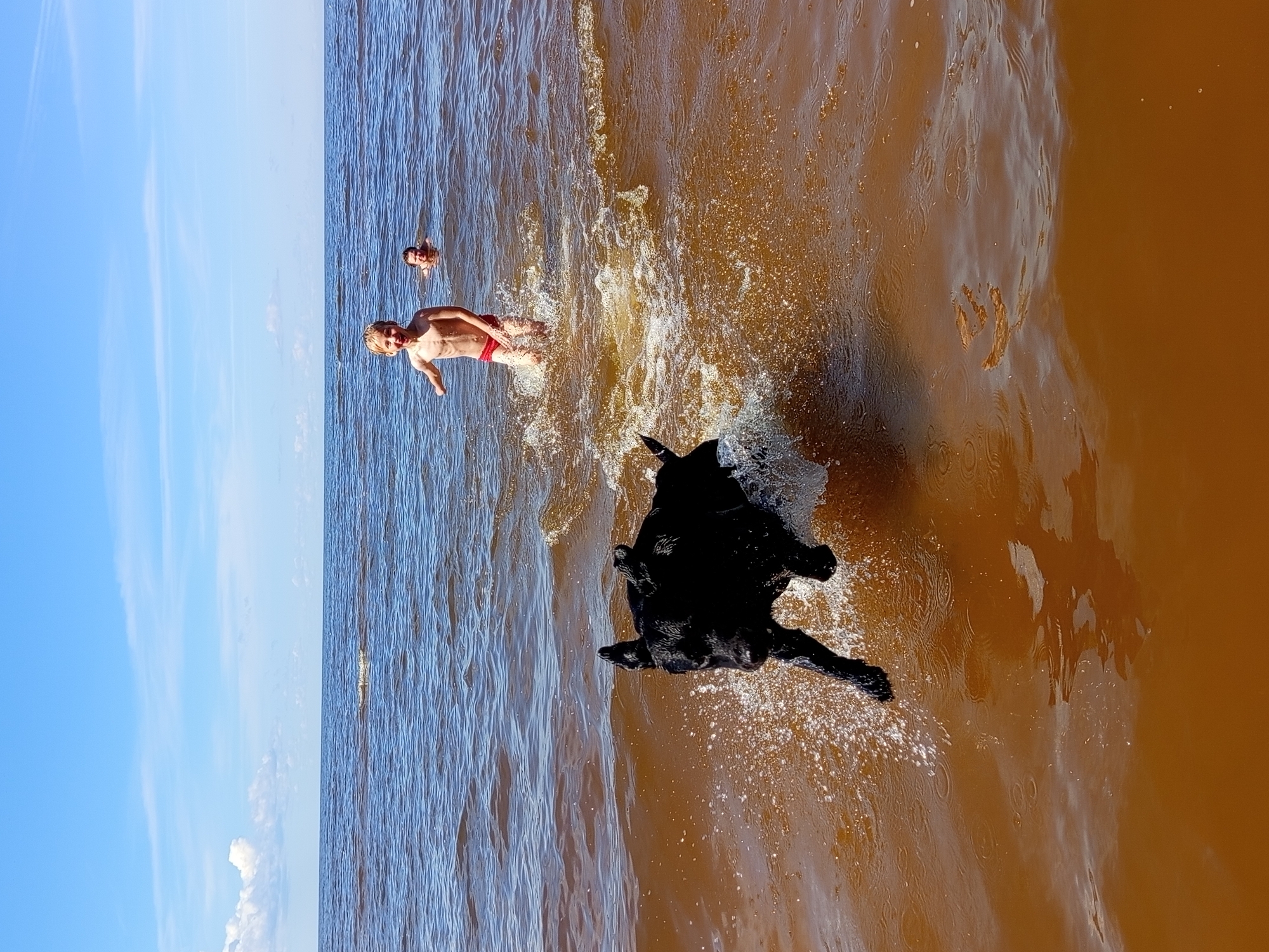 A black dog is running through the water, splashing as it goes. In the background, two children are in the water. The child closer to the camera is smiling and facing the viewer. The other child is further away and facing away from the camera. The scene appears to be at a lake or sea, with a clear blue sky and some clouds visible. The water is a brownish-orange color.
