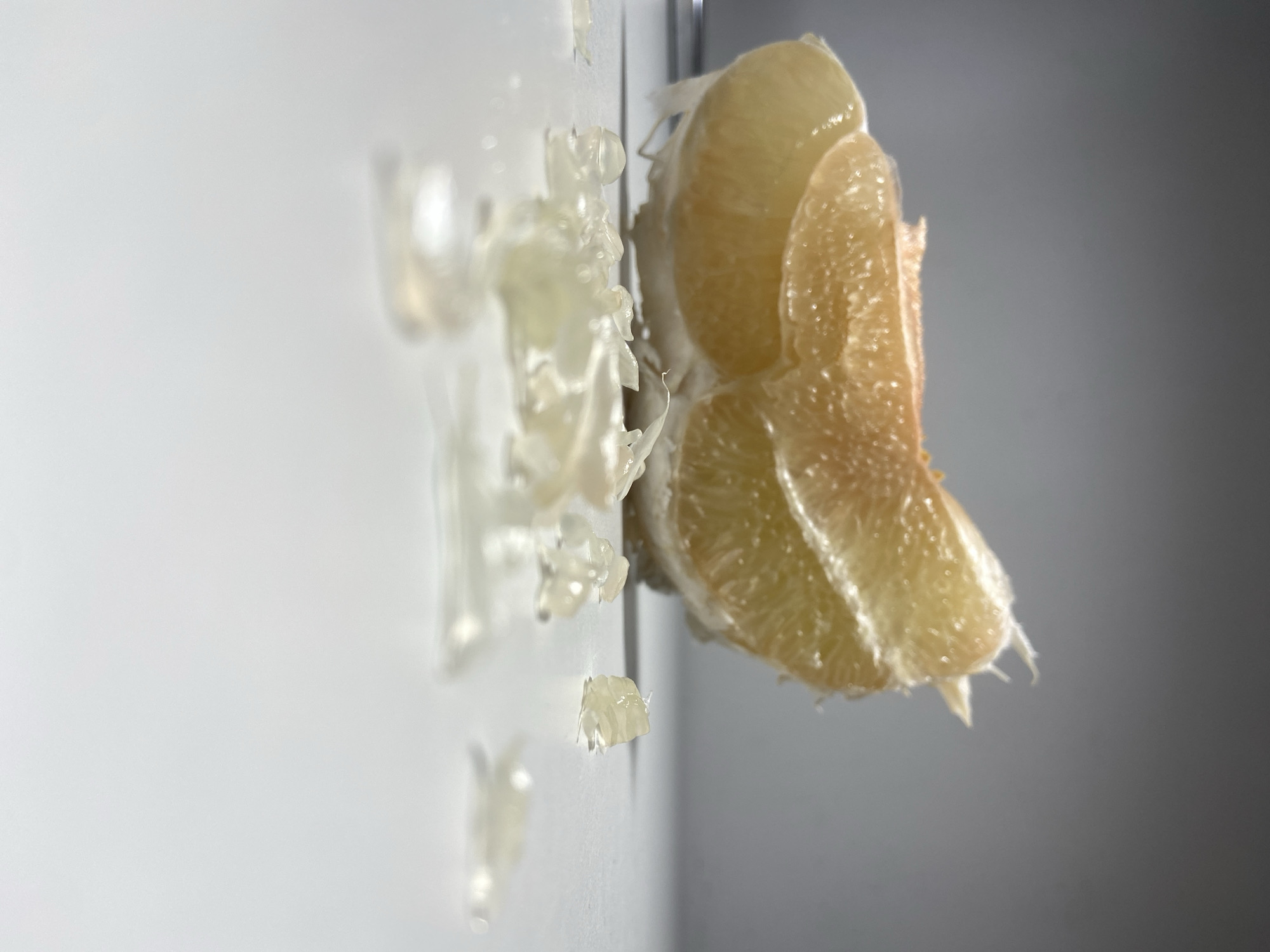 A partially peeled segment of a light yellow-orange citrus fruit, consistent with a pomelo or grapefruit, rests on a smooth, white surface. The fruit segment, positioned towards the left of the frame, displays visible juice vesicles and remnants of white pith attached to its underside and edges. Scattered across the foreground on the same white surface are numerous small, translucent fragments of white fruit membrane or pith. The background is a uniform, plain light gray surface. The scene is illuminated by diffuse light, highlighting the texture of the fruit and the scattered debris. No individuals are present, and no actions or interactions are depicted. This scene is located in Budva, Montenegro.