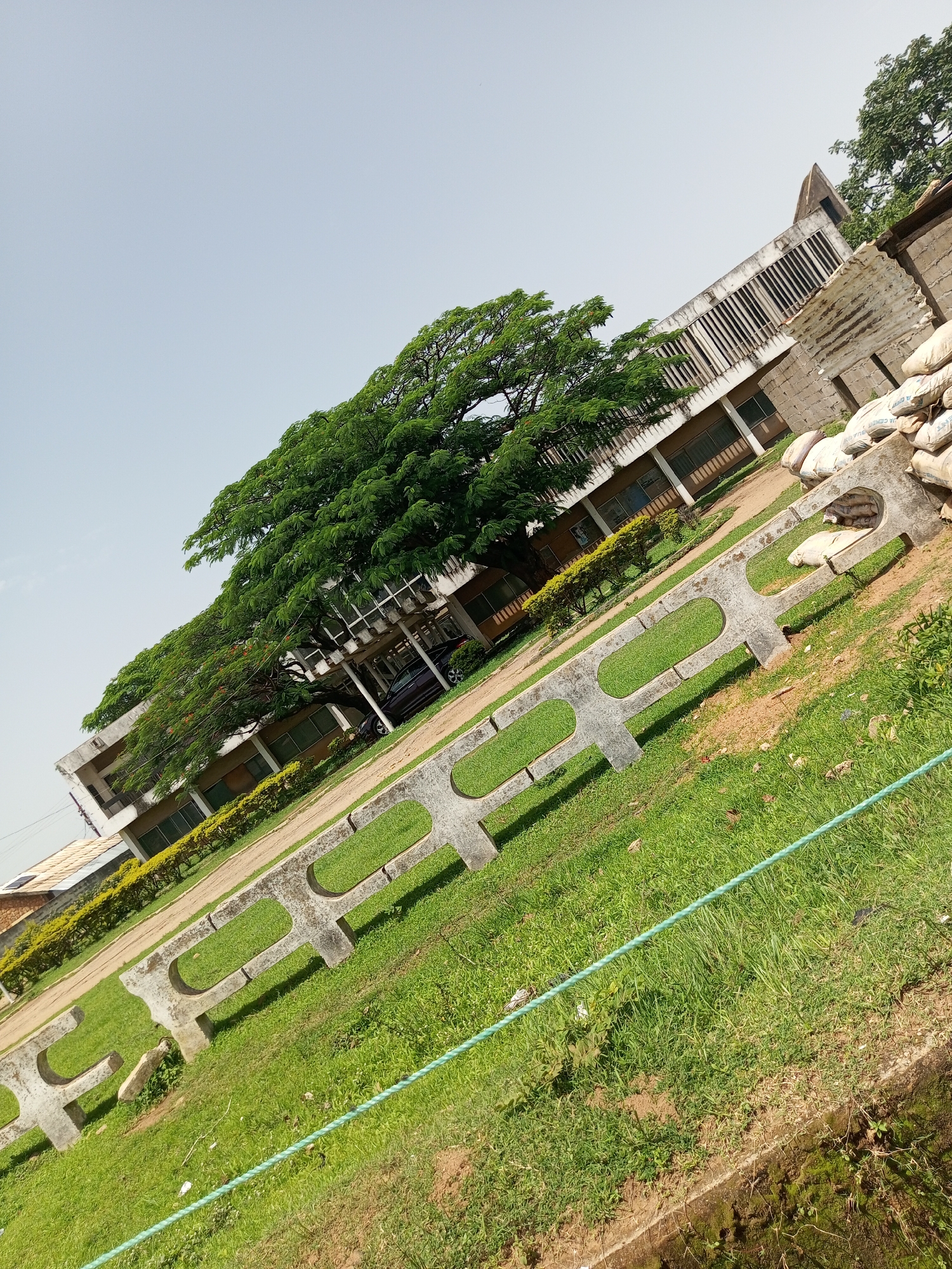 The image depicts a tilted outdoor scene in Bukuru, Nigeria. A large, leafy green tree dominates the center of the frame, casting shadows over a multi-story building with a concrete facade and numerous horizontal windows. In front of the building, a dark-colored car is partially visible, parked under a covered area. A decorative concrete fence, composed of interlocking oval shapes, runs across the foreground. Beyond the fence, lush green grass covers the ground, with a light blue rope lying diagonally across it. In the background, to the right of the building, a pile of large sacks, possibly containing cement, is stacked against a wall constructed of rough-hewn blocks. The sky above is clear and pale blue.