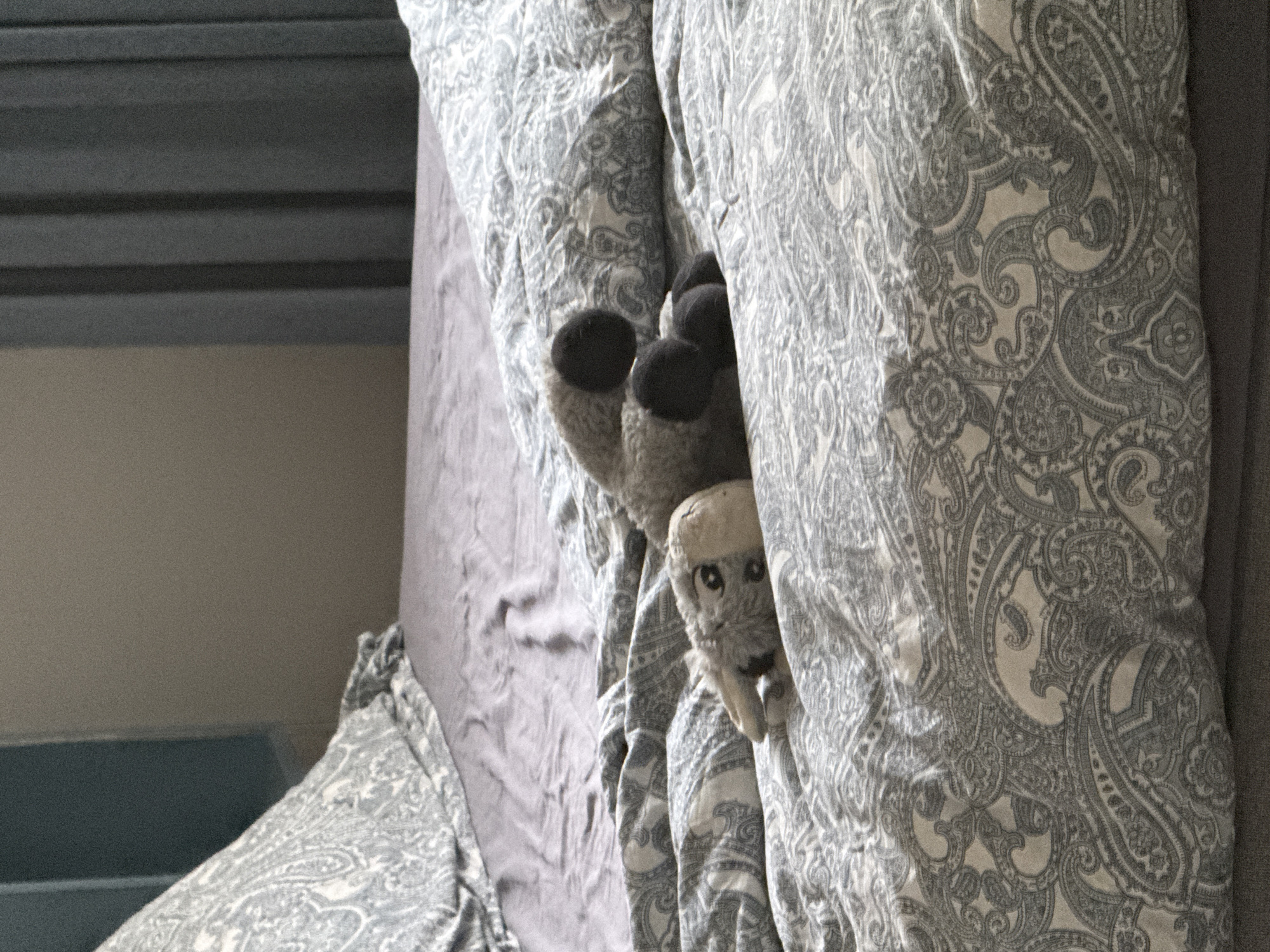 The image shows a stuffed animal partially hidden under a gray paisley patterned comforter on a bed. The stuffed animal appears to be a sheep, with its head peeking out from between the folds of the comforter. It has large, round black eyes and a light-colored snout. Three dark, rounded objects, possibly the sheep's feet, are visible protruding from beneath the blanket. The bed also has a plain gray sheet. In the background, a dark gray headboard with horizontal slats is visible, suggesting the setting is a bedroom. The lighting appears to be soft, indicating it could be daytime. No text is visible in the image.