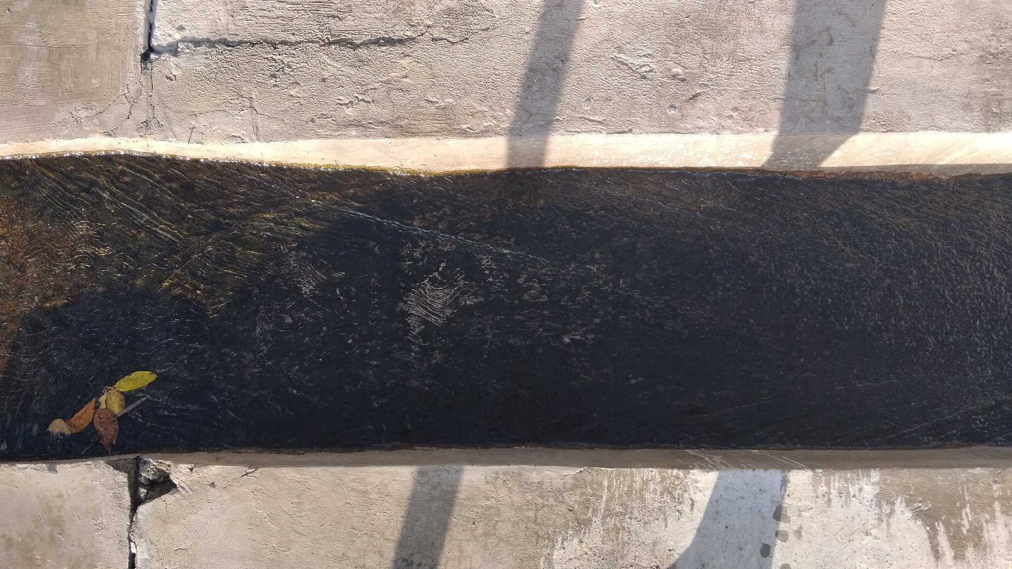 The image shows a section of a concrete drainage channel in Ngaglik, Indonesia. The channel is filled with dark, murky water, with some ripples visible on the surface. A few fallen leaves, colored yellow and brown, are floating on the water near the top left corner of the image. The concrete banks of the channel are visible on either side, appearing weathered and cracked in some areas. Sunlight casts shadows across the concrete, indicating it is daytime. The scene appears to be an outdoor, man-made structure within an urban or semi-urban environment.