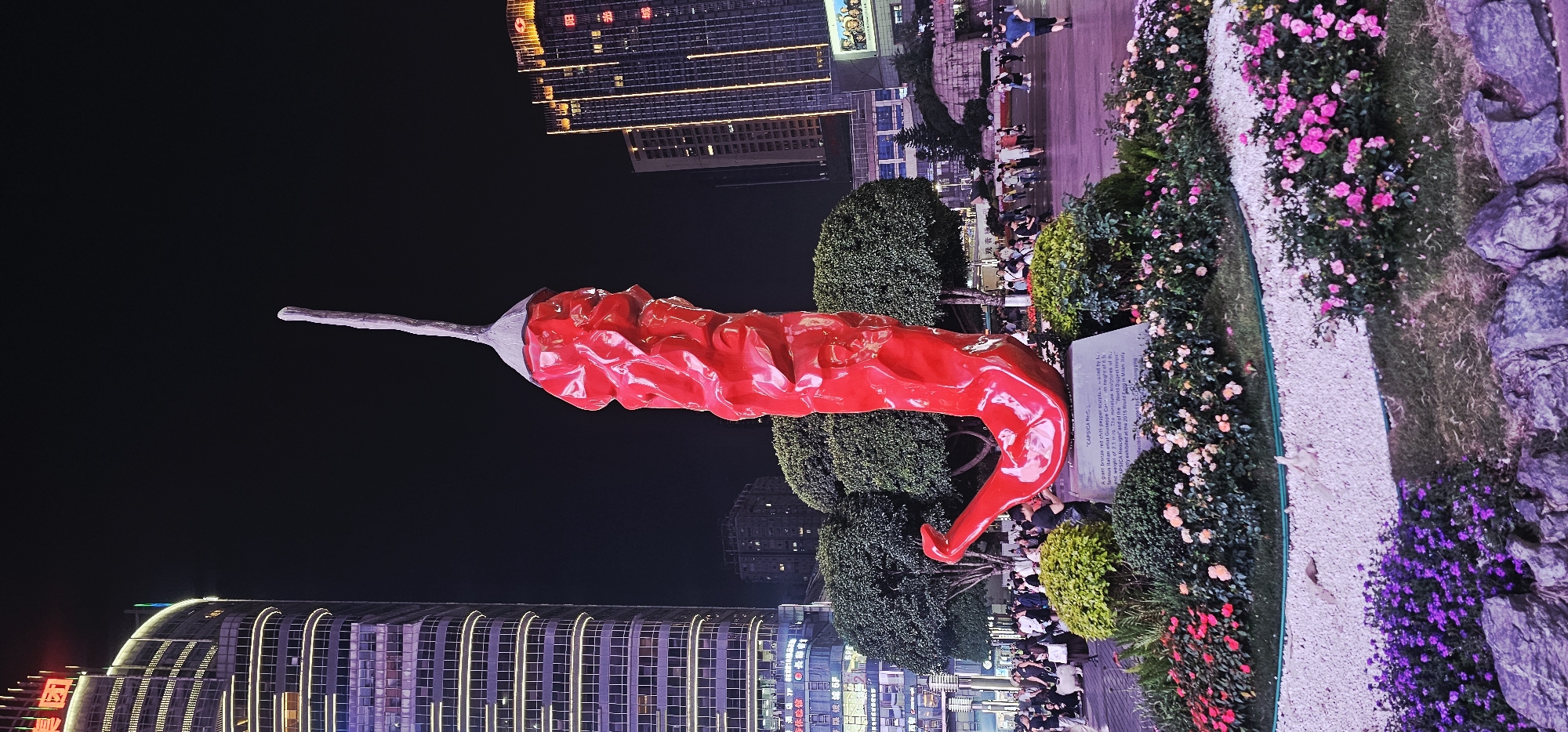 Here's a detailed description of the image:
**Overall Scene:**
The image captures a nighttime scene in the city of Liangjiang, China. The focus is on a large, bright red sculpture of a chili pepper positioned in an outdoor area.
**Main Subject:**
A colossal red chili pepper sculpture. It is a bronze statue called "CAPSICA Re".
**Background:**
The background features a mix of modern urban elements. There are brightly lit buildings with linear patterns from their windows and architectural details.
**Foreground:**
The sculpture is surrounded by manicured greenery, including various types of flowers and shrubs. A narrow path of light-colored gravel appears to guide viewers around the display. People are visible nearby the monument.
**Environment:**
The scene is well-lit with artificial lighting, enhancing the colors of the sculpture and the surrounding vegetation. The city skyline is visible in the distance, contributing to the urban setting.
**People:**
There are a crowd of people are present, some standing and possibly observing the sculpture or walking by.