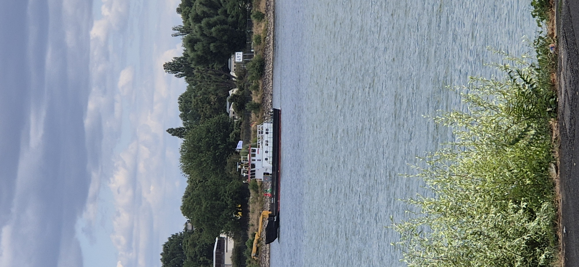 A side view of a white and red motor vessel is shown on a wide, blue river under a cloudy sky. The vessel, identified by markings that appear to read "SCHNITZE", has a crane attached to its bow. Green foliage lines the riverbank in the foreground. In the background, a dense line of trees separates the river from buildings and a sign displaying the number "497". The scene is situated in Mainz, Germany.