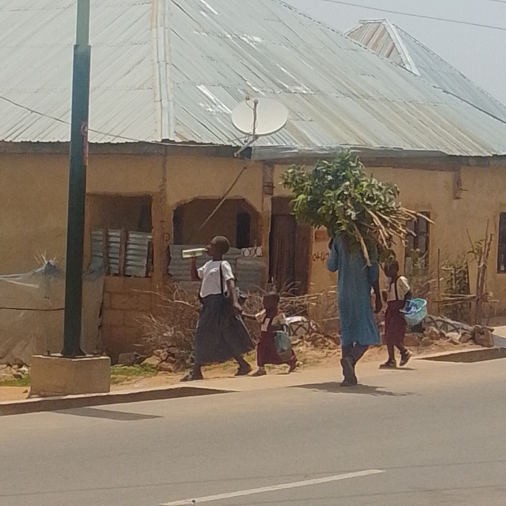 In Gombe, Nigeria, a street scene unfolds with a residential building serving as the backdrop. The building features a corrugated metal roof, complete with a satellite dish. A person in a long, blue robe walks carrying a substantial bundle of vegetation on their head. They are accompanied by two children walking alongside. One child, in a skirt and t-shirt, holds a blue basket. The scene is set on a dusty roadside, with a paved road in the foreground. A street lamp post stands to the left of the frame.