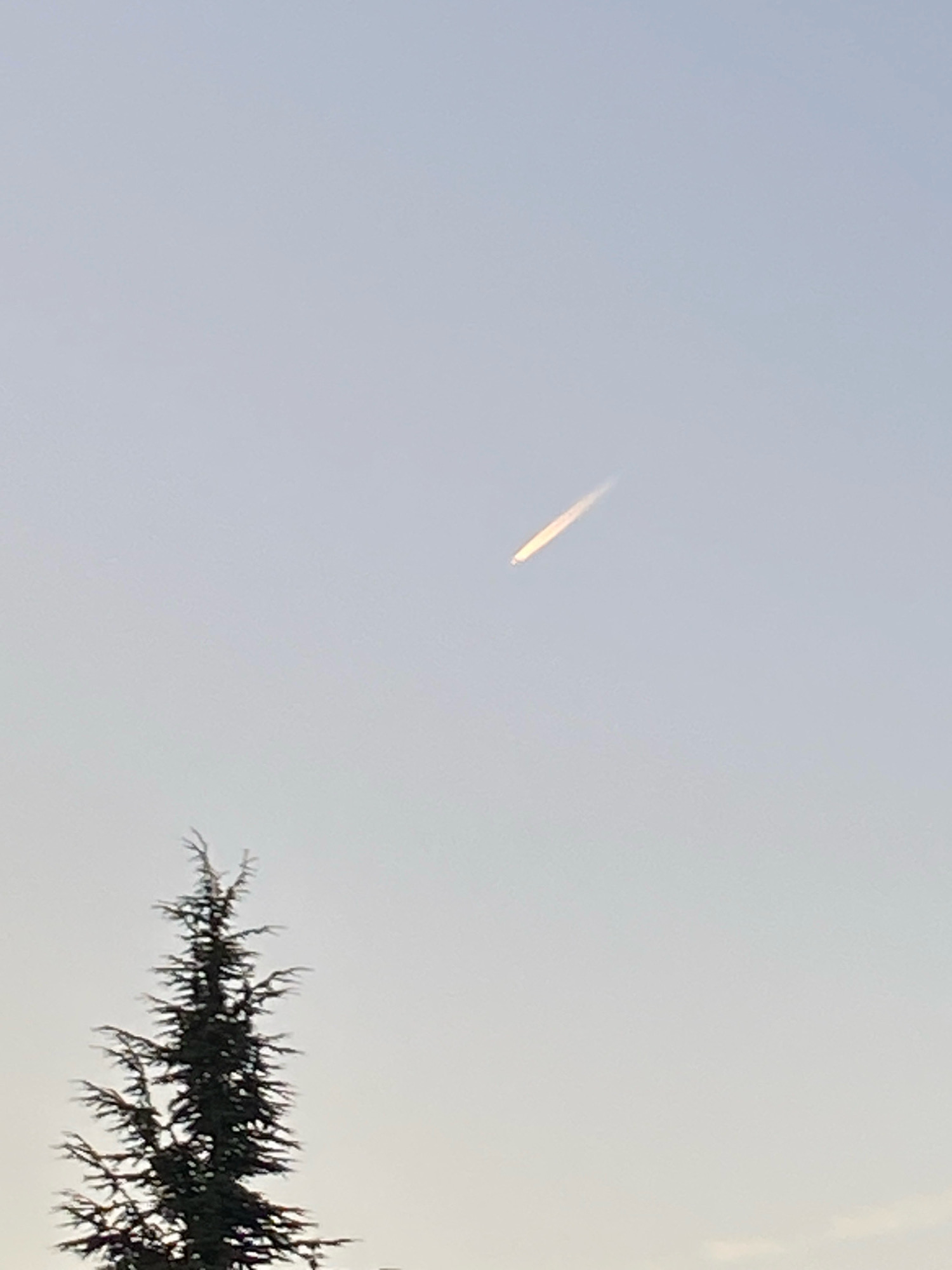 An upward-angle, medium shot captures a pale sky with a streak of light high above, possibly a contrail or a distant object. In the lower left quadrant, the top of a dark, coniferous tree is visible, its branches sharply defined against the sky. The scene appears to be set in Sveti Vlas, Bulgaria, given the context of the request.
