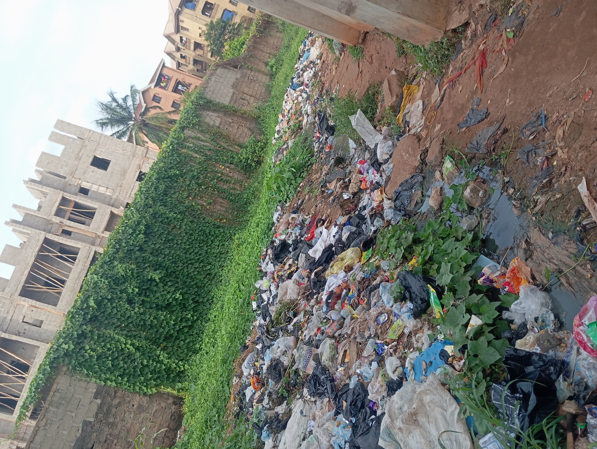 An outdoor, eye-level, tilted shot captures a scene of severe environmental pollution in what appears to be a peri-urban or urban area of Nkpor, Nigeria. The foreground and midground are dominated by a massive, sprawling accumulation of diverse waste, including countless plastic bags (black, white, blue, transparent), food wrappers, discarded bottles, fabric scraps, and general refuse, all mixed with dirt and sparse green vegetation. A dark, murky liquid, possibly stagnant water or sewage, is visible in a low-lying area amidst the garbage on the right side.
To the left of the refuse pile, a concrete wall is almost entirely covered by a thick, vibrant layer of green climbing plants or vines. In the background, several buildings are visible against a bright, hazy sky. On the far left, a multi-story building is under construction, characterized by its exposed concrete block walls and empty window openings. Further right in the background, finished residential buildings with light-colored facades and visible windows suggest an established neighborhood. A single palm tree stands between these buildings.
The scene depicts a significant problem of improper waste disposal and environmental neglect. The time of day is clearly daytime. No human figures are present, and no specific activity is taking place other than the static presence of pollution. There is no discernible or legible text on any of the objects in the image.