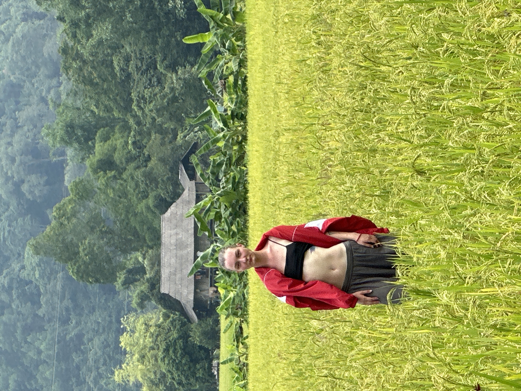An upright outdoor portrait captures a young woman standing confidently in a vibrant green rice paddy in Ngọc Đường Commune, Vietnam. She is positioned slightly to the right of the center, gazing directly at the camera with a serene and pleasant expression. Her light hair is pulled back, and she wears a black sports bra or crop top, dark grey shorts, and a red and white jacket draped over her shoulders, revealing her midriff. Her hands are gently placed near her hips.
The foreground is dominated by the lush green rice field, with individual stalks bearing yellow-green grains, suggesting a mature crop ready for harvest. The plants reach up to the woman's waist. In the midground, behind the field, a rustic house with a dark, sloped roof is partially visible, nestled among dense tropical vegetation, including large, broad-leafed plants resembling banana trees. The background features steep, densely forested mountains, which appear hazy and blue-green, indicating distance and the atmospheric conditions of a tropical or subtropical environment.
The bright, even lighting suggests it is daytime, likely late morning or early afternoon, under clear skies. The overall scene conveys a sense of natural beauty and tranquility in a rural setting. There is no visible text in the image.