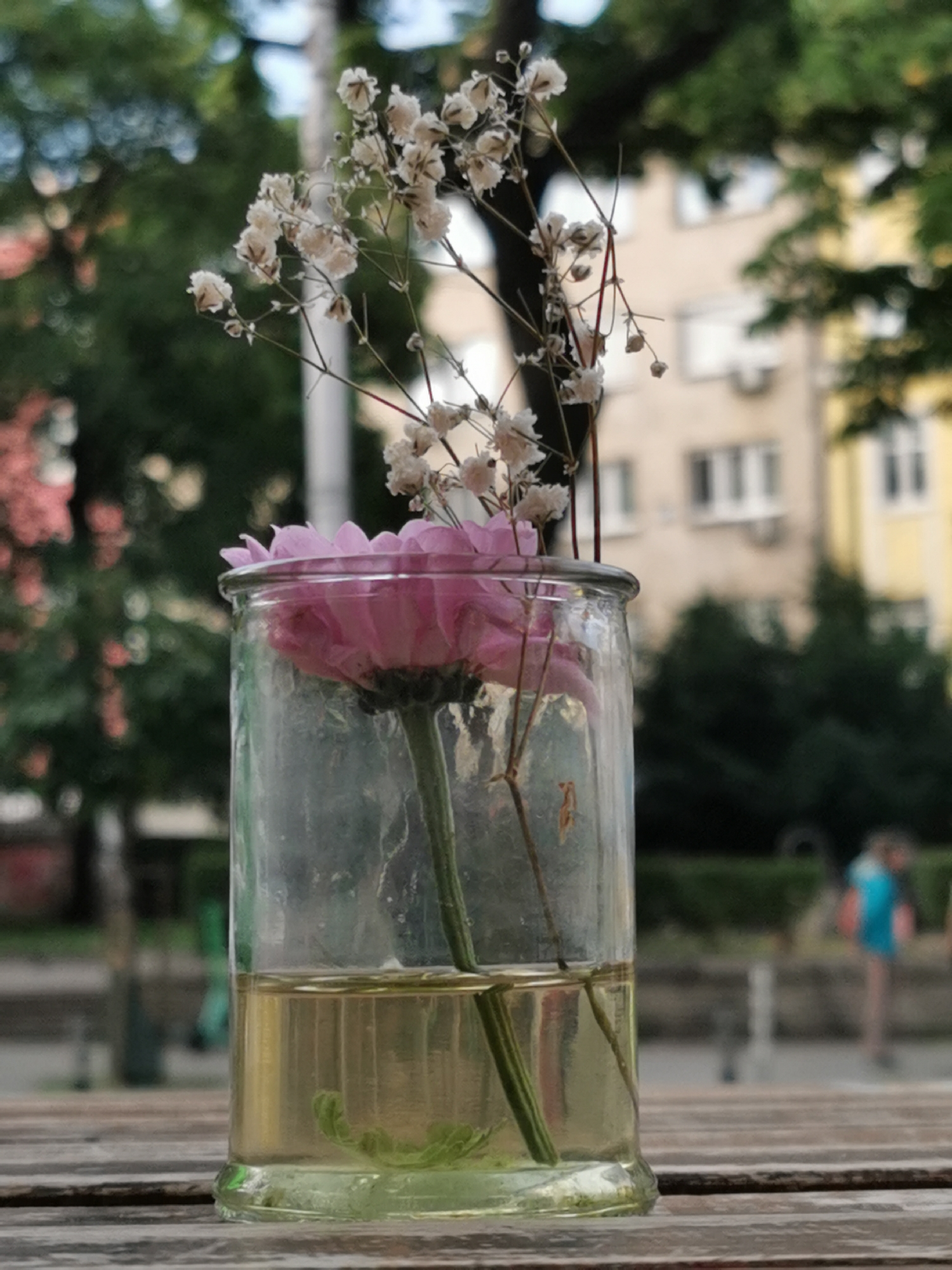 In a close-up shot, a clear glass jar containing a pink daisy and baby's breath rests on a wooden table. The jar is partially filled with yellow liquid. The background is blurred, showing trees, buildings, and a person in the distance.