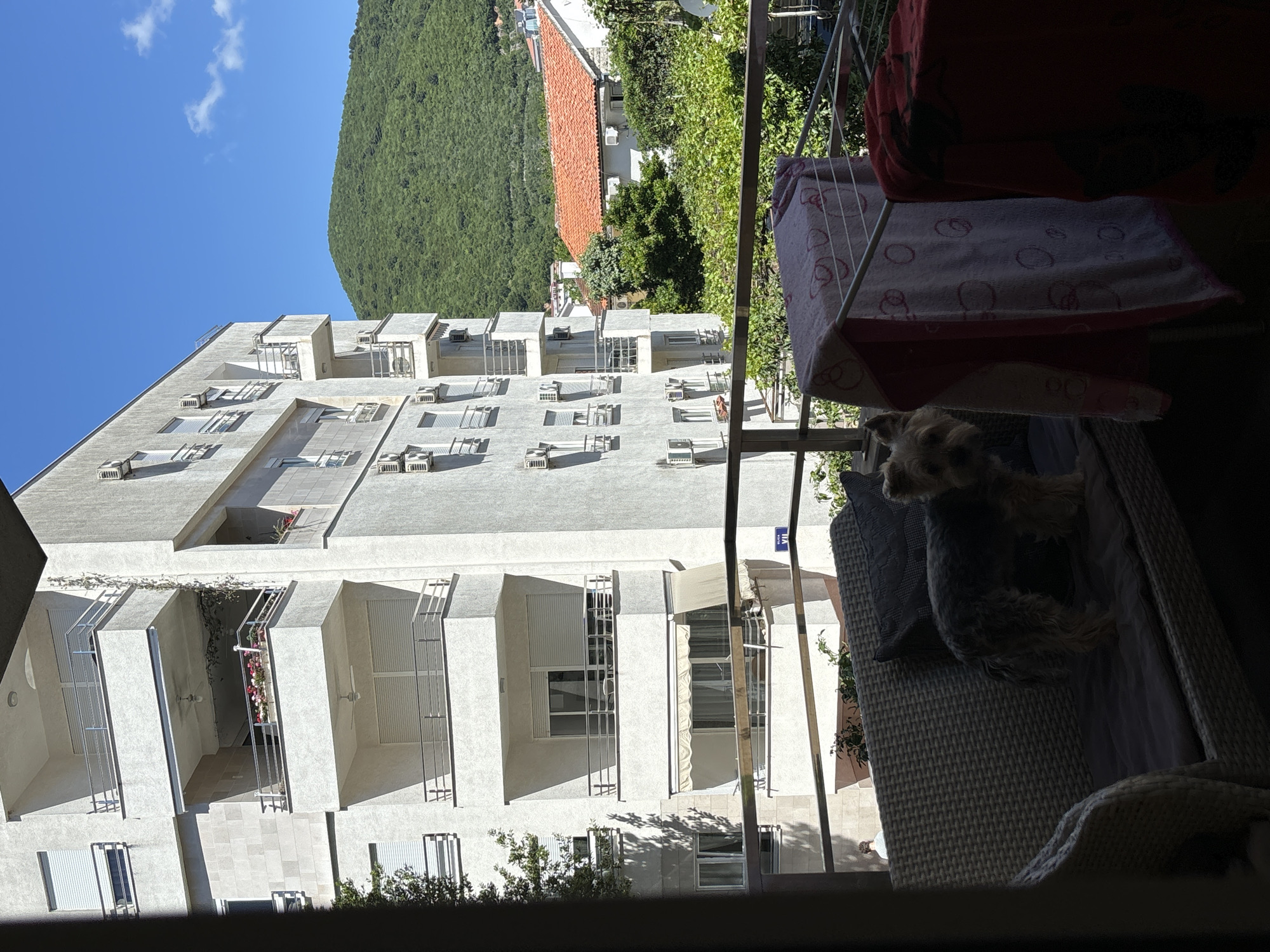 A medium shot depicts a high-angle view from a balcony in Budva, Montenegro. A small dog sits on a light-colored wicker outdoor sofa on the balcony. Drying laundry hangs on a rack in the foreground. Visible through the balcony are a large, light-colored modern apartment building with multiple balconies and air conditioning units. Further in the background is a green, forested hillside and a red tile roof. The sky is bright blue with a few scattered clouds. A street sign is visible affixed to the building.