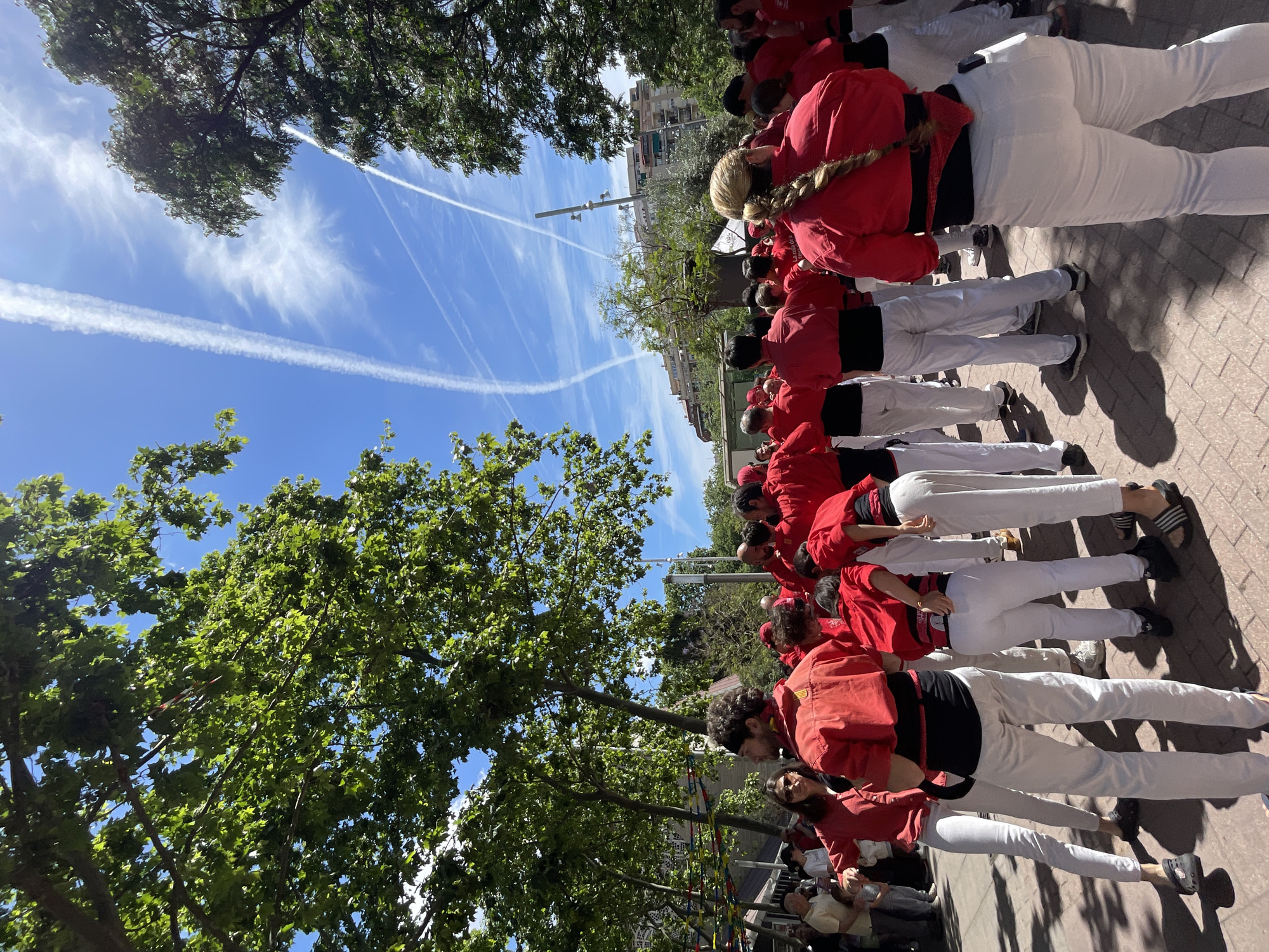 A medium-angle shot depicts a human tower building event (Castellers) in Barcelona, Spain. A large group of people wearing red shirts and white pants form a base, their hands interlocking. The sky above is blue, streaked with contrails. A lush, green tree is in the foreground, partially obscuring the view of the city buildings in the background. A street lamp stands among the buildings.