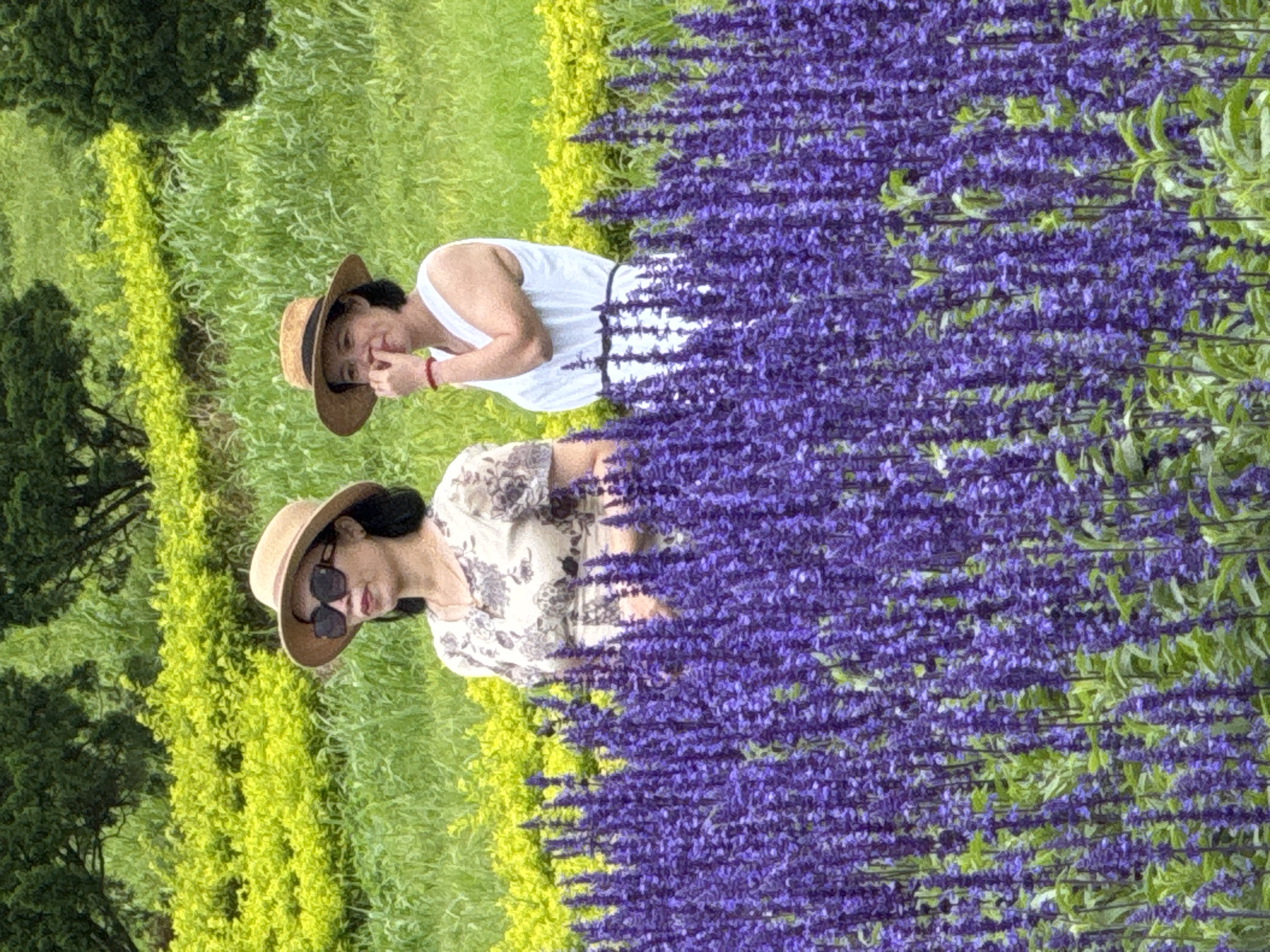 In Da Lat, Vietnam, two women stand in a garden filled with vibrant purple flowers. The woman on the left wears a patterned top, a wide-brimmed hat, and sunglasses. The woman on the right is dressed in a white sleeveless top and a straw hat, with one hand touching her face. Behind them, a lush landscape of green and yellow foliage stretches out, bordered by trees. The foreground is dominated by the dense bloom of purple flowers, creating a striking visual contrast with the softer greens and yellows of the background.