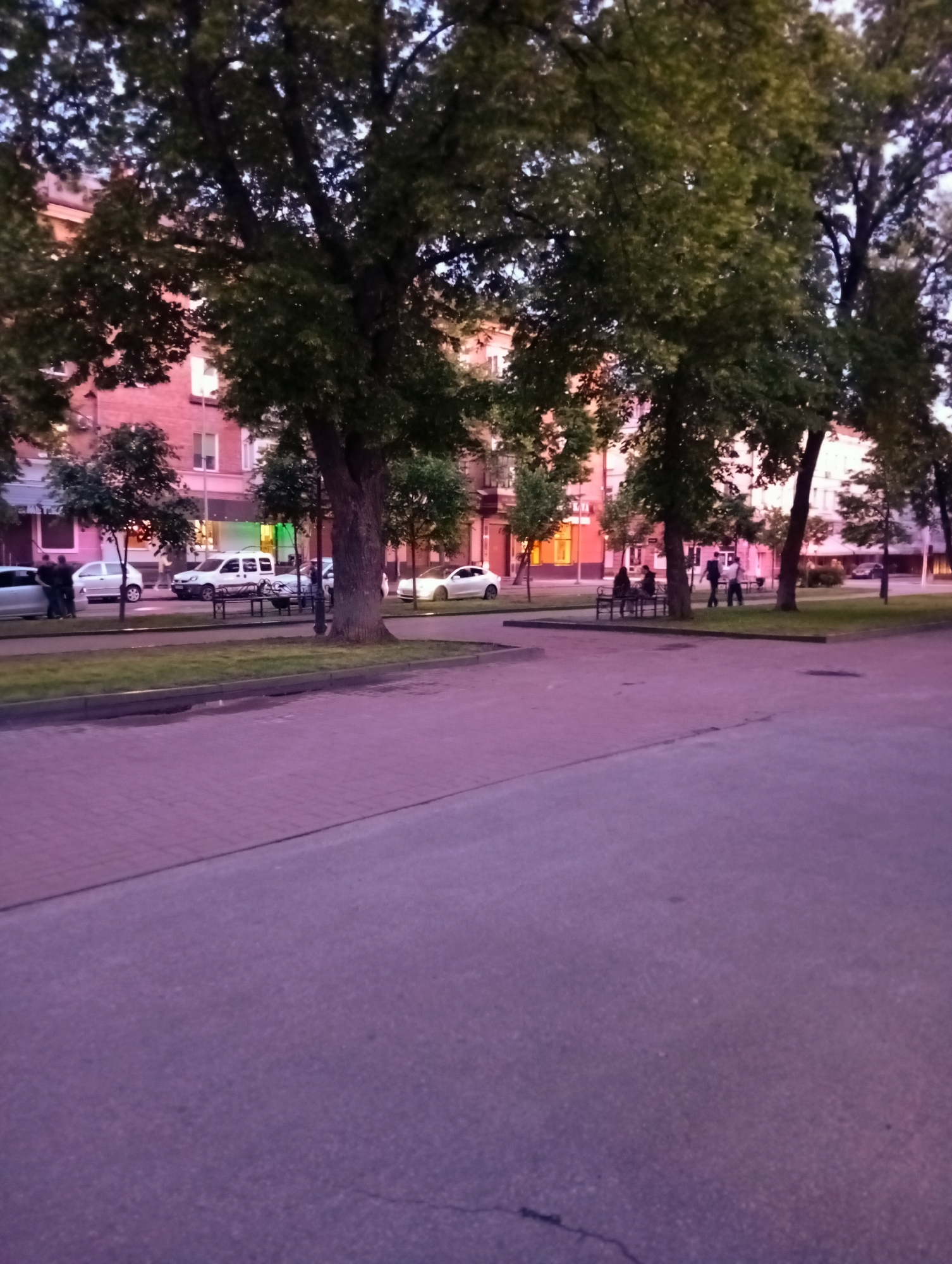 The image depicts an evening street scene in Poltava, Ukraine, characterized by the soft light of dusk and artificial illuminations. A wide, paved road occupies the foreground, bordered by a brick-paved sidewalk and a grassy median strip. Large, leafy trees line both sides of the street, creating a dense, green canopy overhead. Behind the trees, multi-story urban buildings with illuminated windows are visible, some featuring brick facades.
Several people are present, engaging in casual activities. On the left side of the street, two men stand next to a parked white car, with a white van parked behind it. In the middle distance, on the grassy median, a group of three or four individuals are seated or standing near dark benches. Further down the street on the right, more indistinct figures can be seen near additional benches.
Various vehicles are parked along the street, including the white sedan on the left, a white van, and another sleek white car (possibly a Tesla) further along on the right. Artificial lights from building windows cast a warm glow, with notable vibrant green and orange illumination emanating from a shopfront or sign in the mid-distance. The overall color palette features a purplish-pink hue on the road and lower areas, contrasting with the dark green foliage of the trees and the building lights. The scene portrays a peaceful, relaxed urban environment during twilight hours, with no specific event occurring. No discernible text is visible in the image.