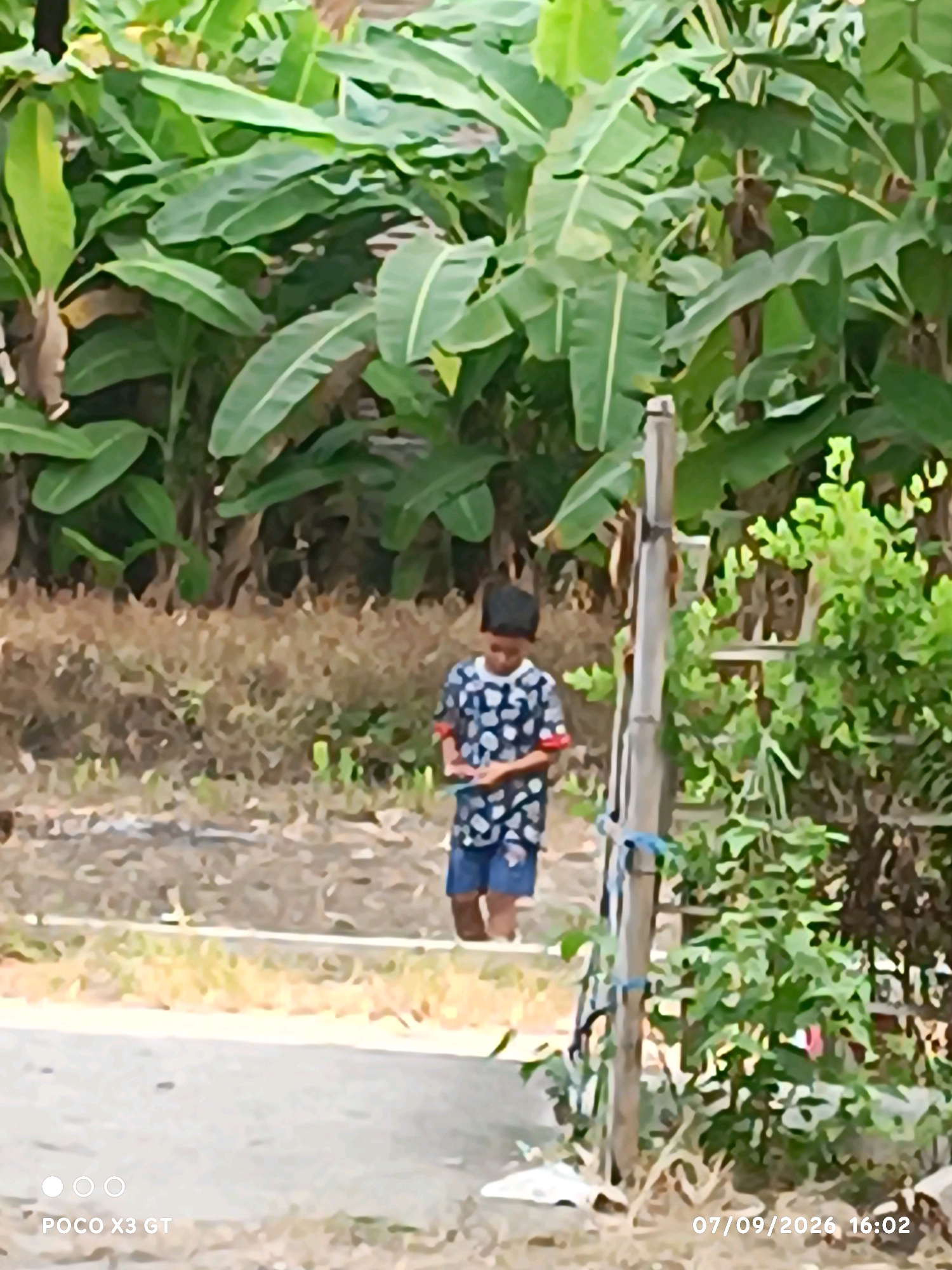 Memory