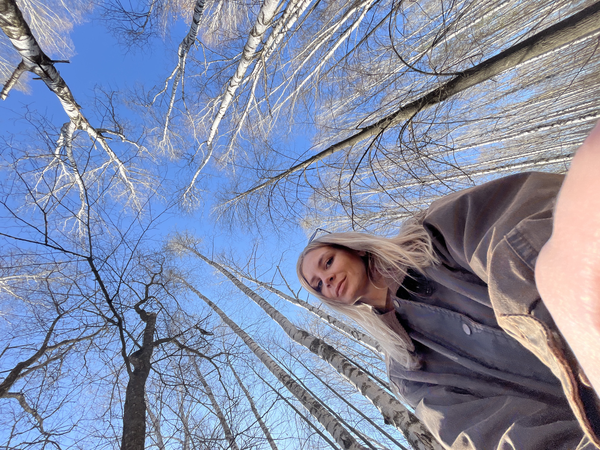 A low-angle medium shot depicts a woman in Chaikovsky, Russia, standing in a birch forest. The woman has blonde hair, is wearing a brown jacket, and is positioned on the right side of the frame, looking down at the camera. The sky is blue and mostly clear. Numerous birch trees, identifiable by their white bark, stretch toward the sky, filling the majority of the frame. Some trees have bare branches. The location is likely a park or wooded area within the city of Chaikovsky. The photo appears to have been taken in winter.