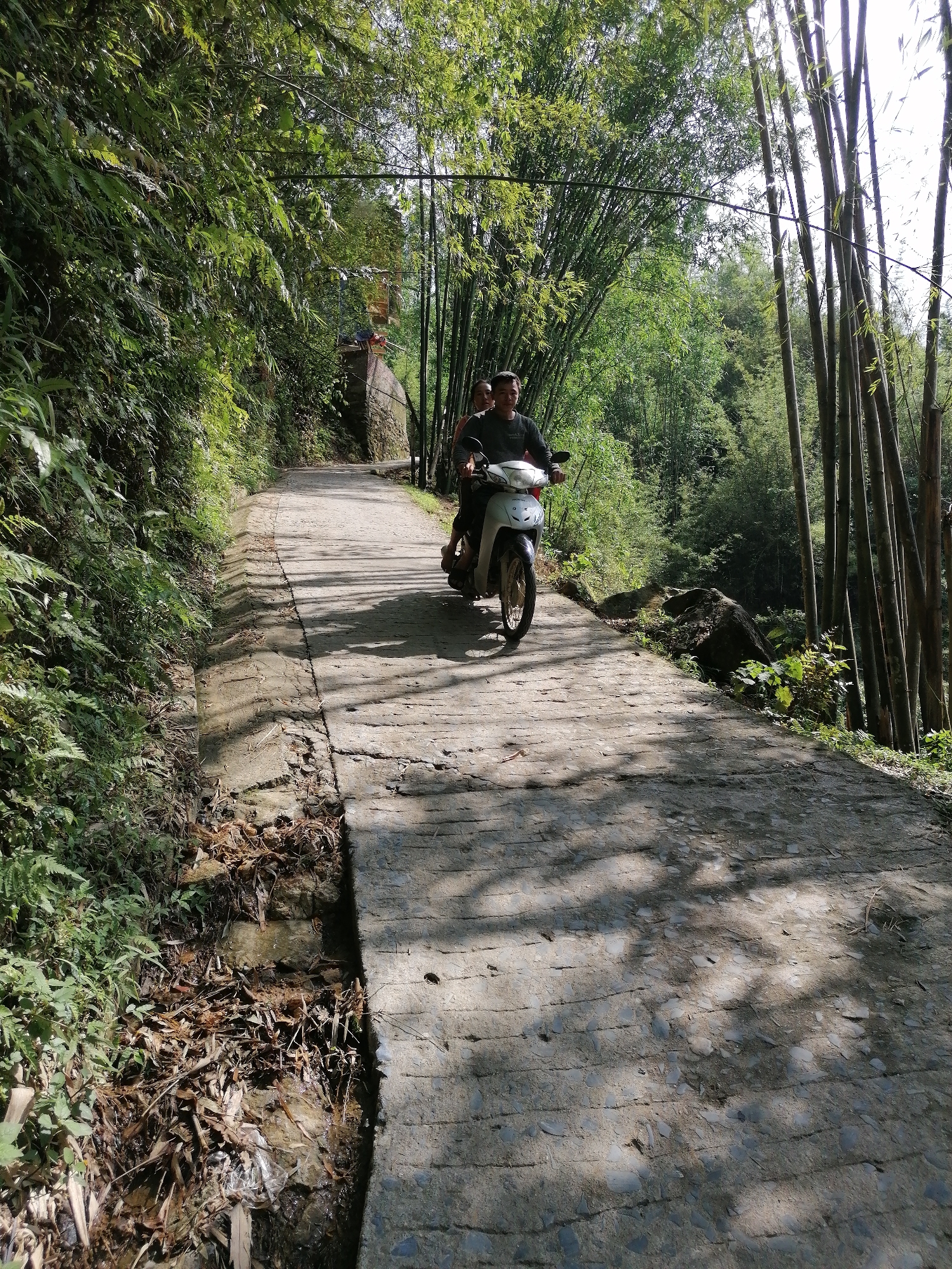 Memory
