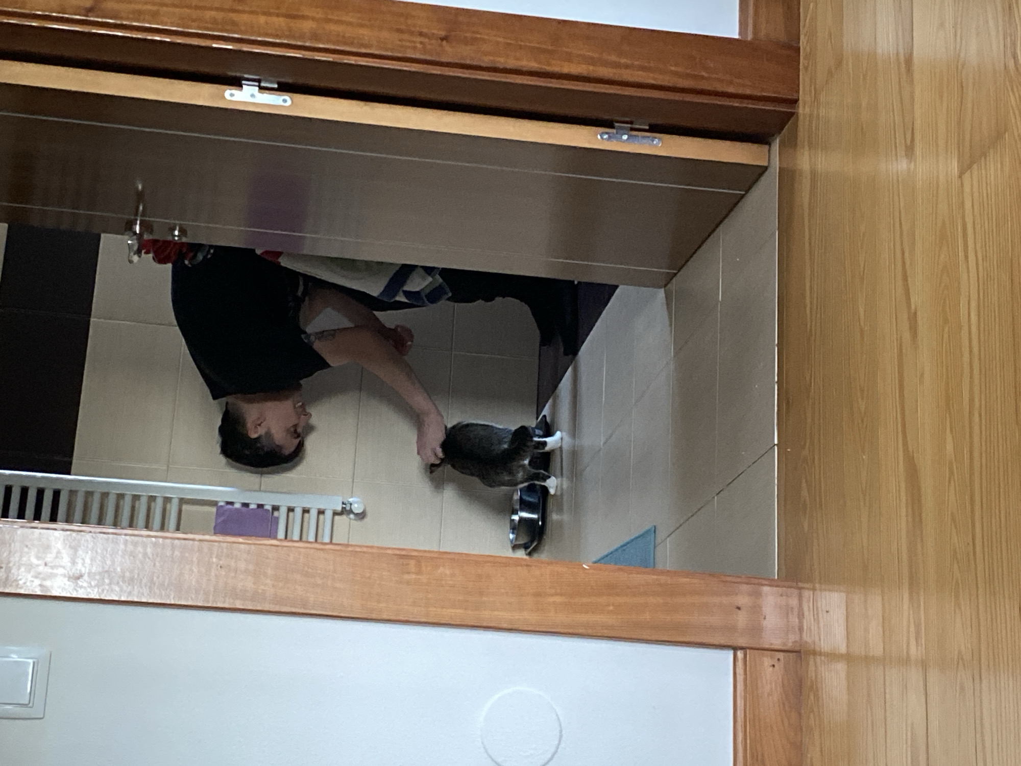 A man is feeding a cat in a kitchen. The kitchen has tile floors and a white radiator. A towel with blue trim is visible. The man is wearing a black shirt. This photograph may have been taken in Villaviciosa, Spain.