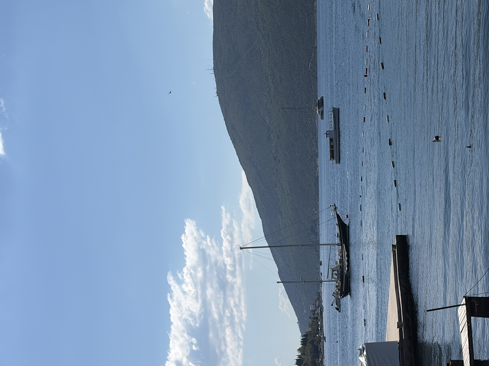 The image shows a view of the coast in Meljine, Montenegro. The scene includes a mountain sloping down to the sea, a blue sky with some white, altocumulus clouds, and a bird flying in the sky. In the water, there are boats, one with a prominent mast, some buoys, and a floating object. The foreground includes part of a dock structure with some visible cables and wooden elements. The image is rotated 90 degrees counter-clockwise.