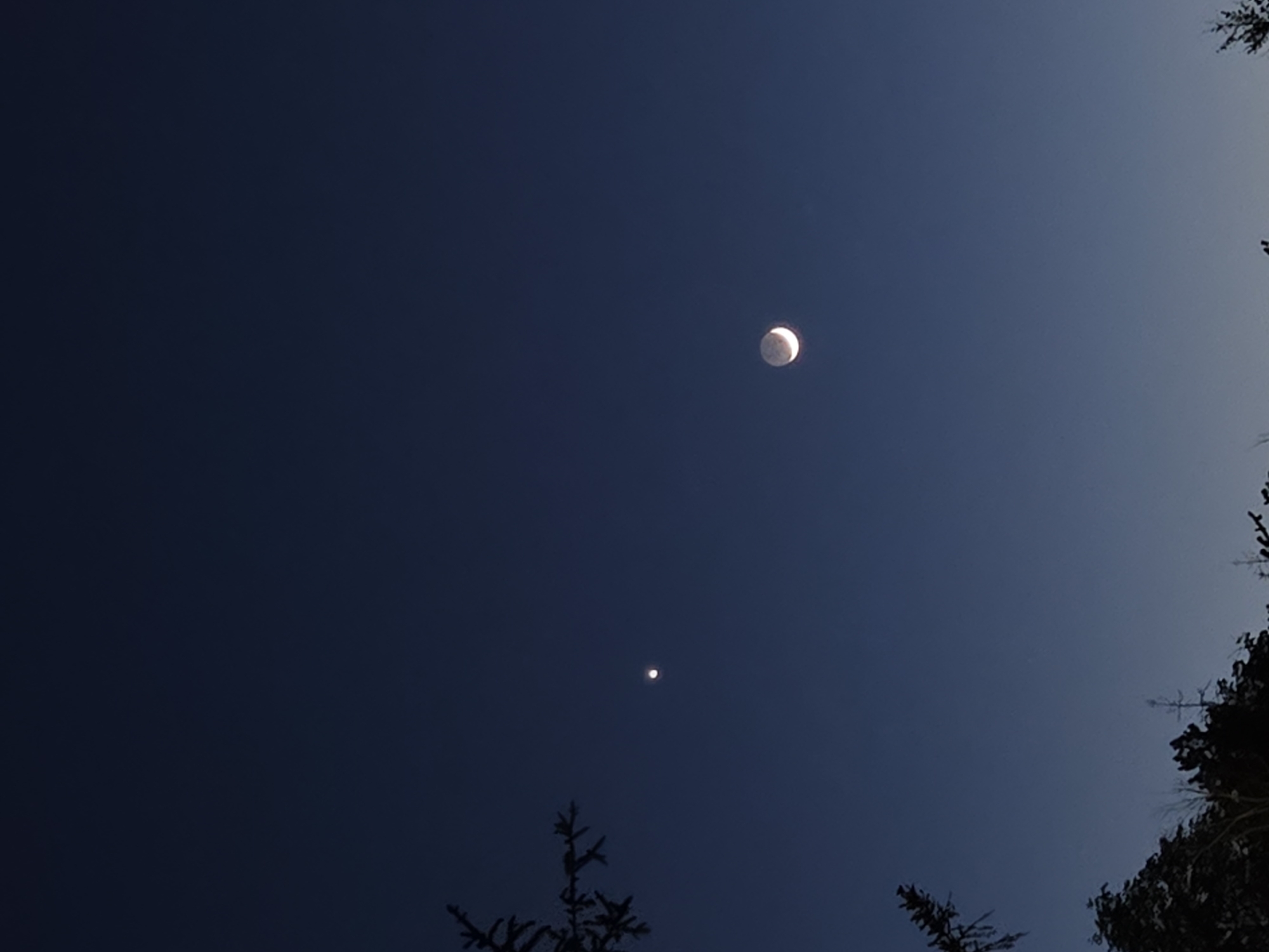 The image shows a dark blue sky with a crescent moon in the upper part of the frame. Below and slightly to the left of the moon is a single bright star or planet. Silhouettes of trees or foliage are visible in the bottom and right edges of the frame. There is no information in the image to identify the location as Pleven, Bulgaria. There are no people present.