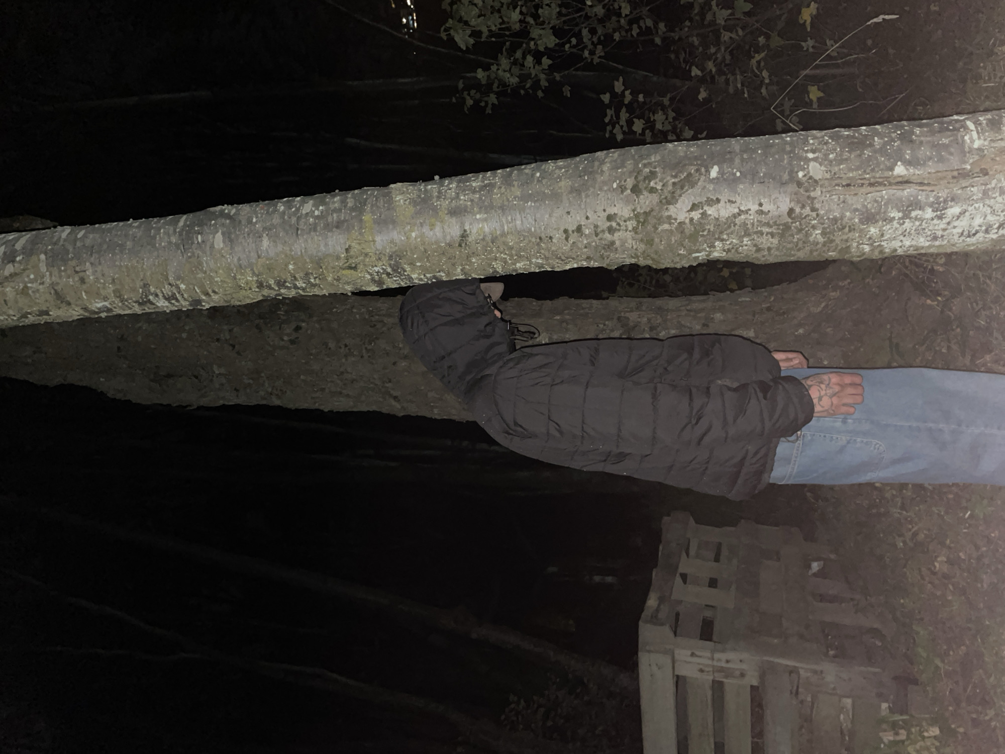 A person wearing a dark hooded jacket and jeans lies on top of a horizontal tree trunk. The person's hand is visible, revealing tattoos. Below the person and to the right, there is a weathered wooden structure. The setting appears to be outdoors at night, with dim lighting. The location is Ushuaia, Argentina.