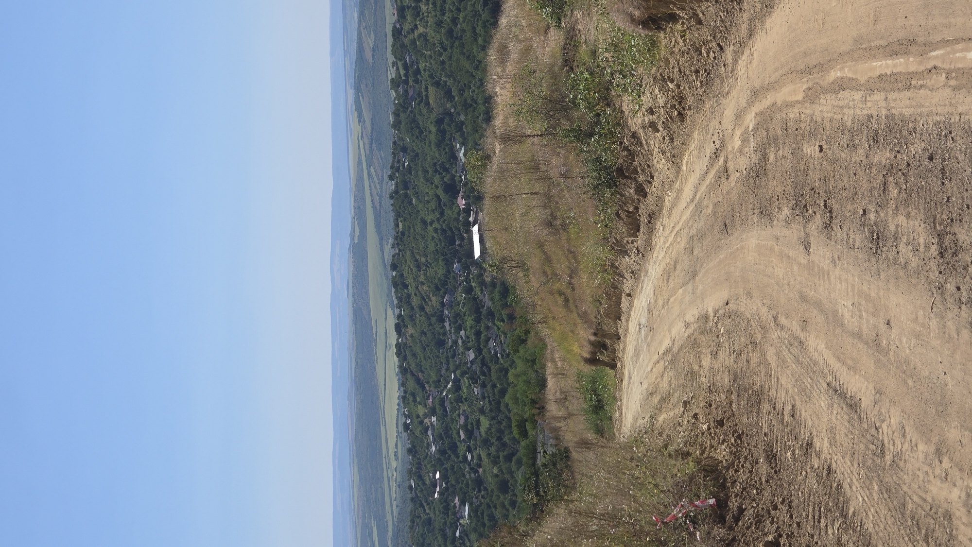 A dirt road curves downhill in the foreground, with tire tracks visible in the soil. On the left side of the road, a red and white striped marker is tied to some dry grass. Beyond the road, a dense green forest covers rolling hills, dotted with houses and rooftops. The landscape recedes into a hazy horizon under a clear blue sky. This scene depicts a rural area in the city of Bălănești, Moldova.