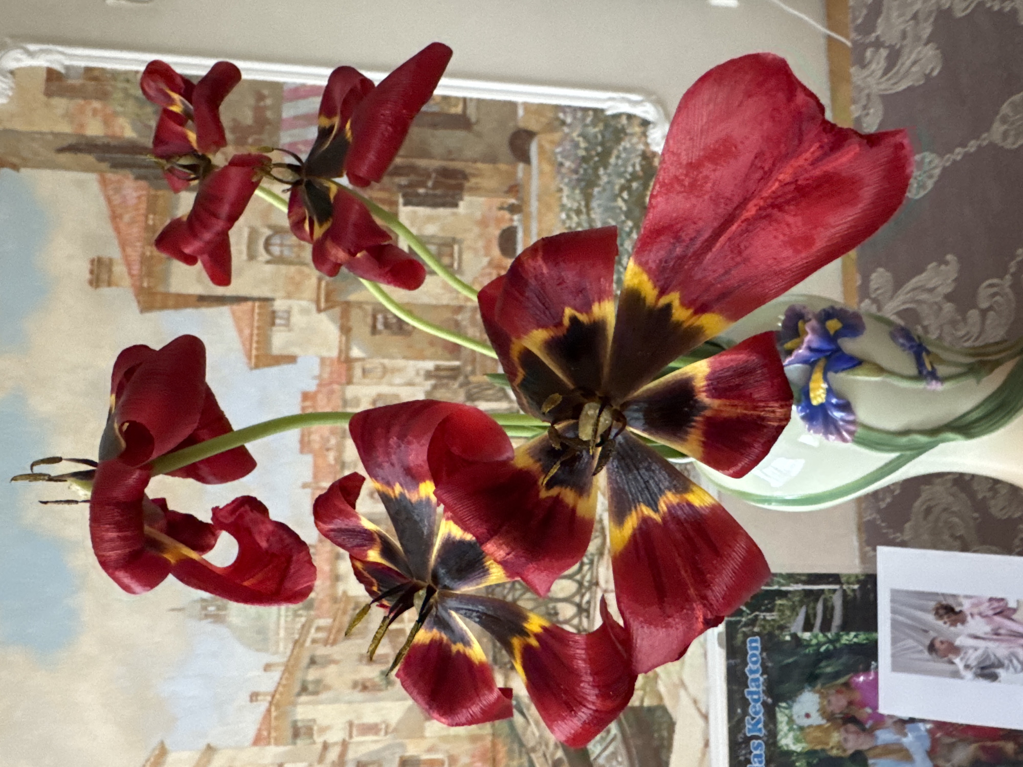 The image shows a bouquet of red and black tulips in a vase. The tulips are in full bloom, with some petals drooping. The vase is sitting on a surface with various items, including what appears to be a photograph or postcard. In the background, there is a wall with a mural depicting an architectural scene. The location in the city of Vsevolozhsk, Russia is not discernible from the image provided.