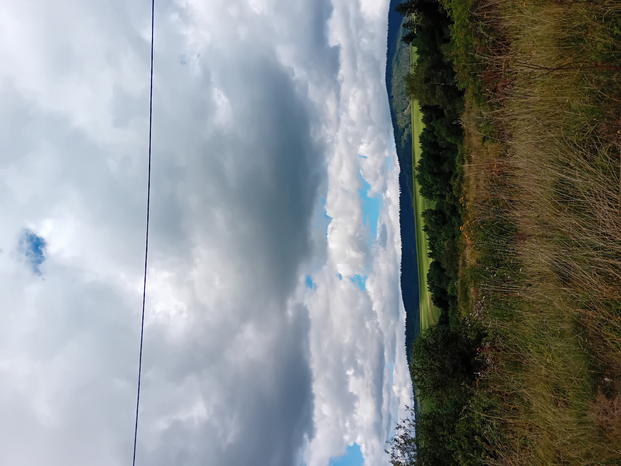 The image depicts a landscape scene, likely in Zuberec, Slovakia, characterized by a dramatic sky filled with a mix of dark, heavy clouds and patches of bright blue. A thin, dark wire or cable stretches horizontally across the upper portion of the frame, cutting through the sky. Below the sky, a rolling landscape unfolds, featuring a dark line of evergreen trees forming a distant treeline against a backdrop of lush green hills. In the foreground, tall, dry grasses and wild vegetation create a textured, natural foreground. The overall impression is one of a vast, open natural environment under a dynamic, possibly stormy, sky.