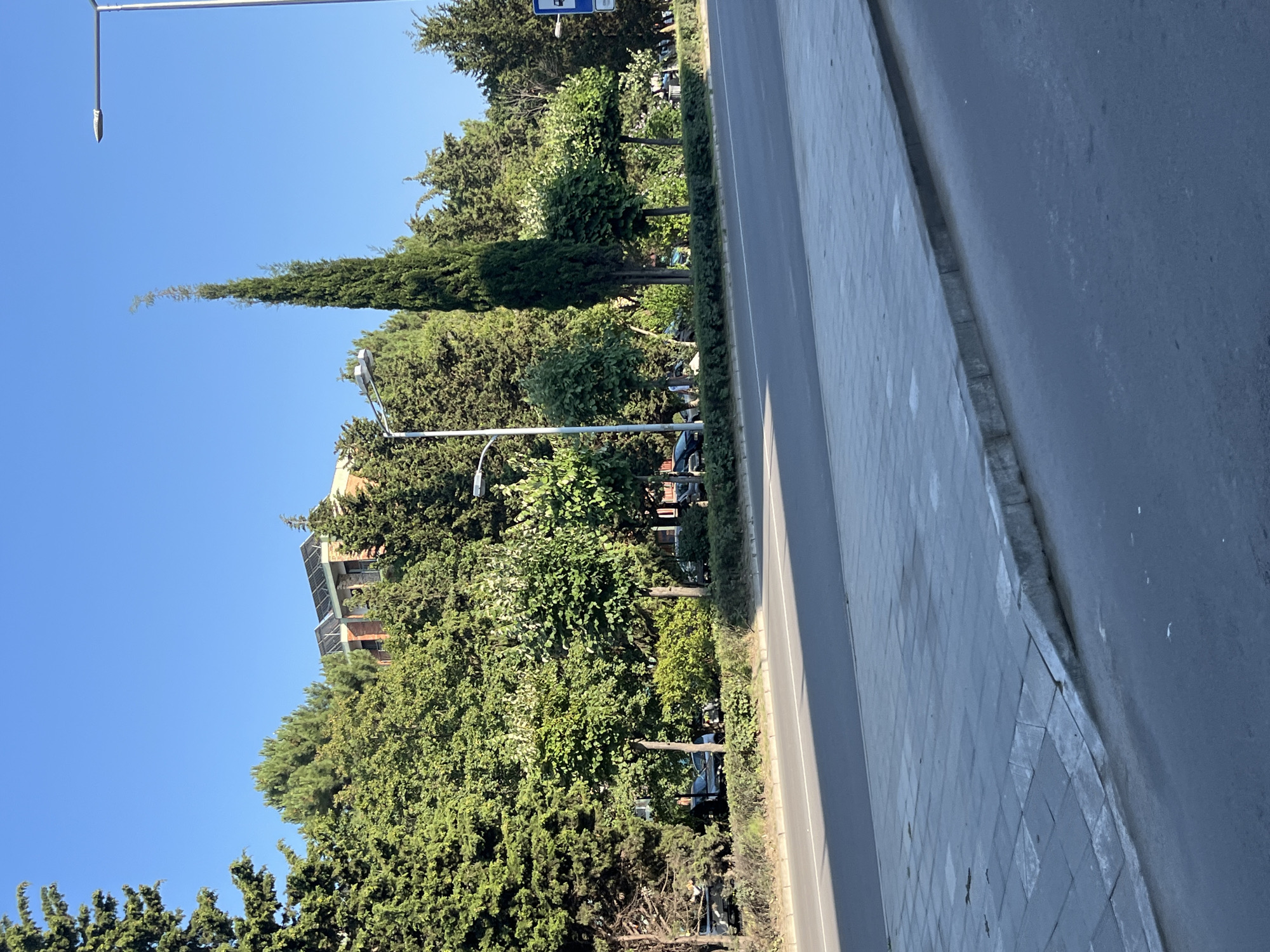 The image captures a roadside scene in Nesebar, Bulgaria, under a clear blue sky. A paved road occupies the foreground, transitioning to a pedestrian walkway with gray, rectangular tiles. The walkway is bordered by a concrete curb, which has a sloped ramp section on the right. Beyond the walkway, a line of manicured trees and shrubs creates a green buffer.
In the middle ground, several vehicles are parked along the side of the road, partially obscured by the foliage. Behind the trees, a building with a reddish-brown facade is visible, topped with solar panels. The building appears to be several stories high. Tall cypress trees and other evergreen and deciduous trees form a dense, natural backdrop.
Two streetlights are present in the scene. One, on the left, is a modern pole with a single light fixture. Another, taller streetlight is positioned on the far right, also with a single fixture. A blue sign with white symbols, possibly indicating a bus stop, is visible on the right side of the image. The overall impression is a well-maintained urban environment with ample greenery.