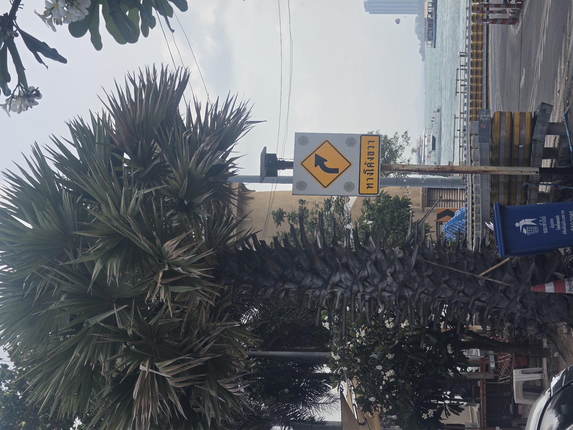 This daytime image captures a scene along a coastal road in Pattaya City, Thailand, under an overcast sky. A large palm tree with prominent, spiky fronds dominates the left side of the frame, with the branches of a flowering tree featuring white blooms visible at the top and bottom.
In the mid-ground, a yellow and gray road sign is mounted on a pole, displaying a black arrow indicating a right-hand curve. The sign also bears the Thai text "ทางโค้งขวา," which translates to "Curve Right." Below the sign and to its right, a blue public trash bin is visible, featuring several lines of Thai text. These include "ขยะทั่วไป" (General Waste), "เมืองพัทยา" (Pattaya City), "โปรดทิ้งขยะลงถัง ฝ่าฝืนปรับไม่เกิน 2000 บาท" (Please put trash in the bin. Violators will be fined up to 2000 Baht), and the partial text "ฝ่ายรักษาด" (likely part of 'Sanitation Department'), along with the number "04012568."
The road itself, partially visible on the right, is lined with yellow and black, as well as red and white, barriers separating it from the water. Beyond these barriers, the sea stretches into the distance, with a white boat gently resting on its surface. In the far background, a tall building or skyscraper stands against the horizon, and a colorful parasail can be spotted high in the sky. The scene depicts a common coastal setting, combining urban infrastructure with natural elements and hinting at leisure activities.