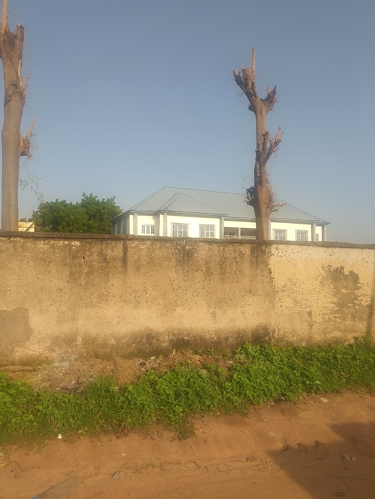 This image depicts a scene in Jalingo, Nigeria. In the foreground, a rough, aged concrete wall, stained and cracked, runs horizontally across the frame. Behind the wall, a modern, white building with a grey, sloped roof and multiple windows with decorative grills is visible. The building appears to be a residential or institutional structure. Two stark, leafless trees with broken branches stand prominently on either side of the building, silhouetted against a clear, light blue sky. Lush green vegetation grows along the base of the wall in the mid-ground, bordering a dirt path in the lower section of the image. The overall impression is one of an urban or semi-urban environment on a clear day.