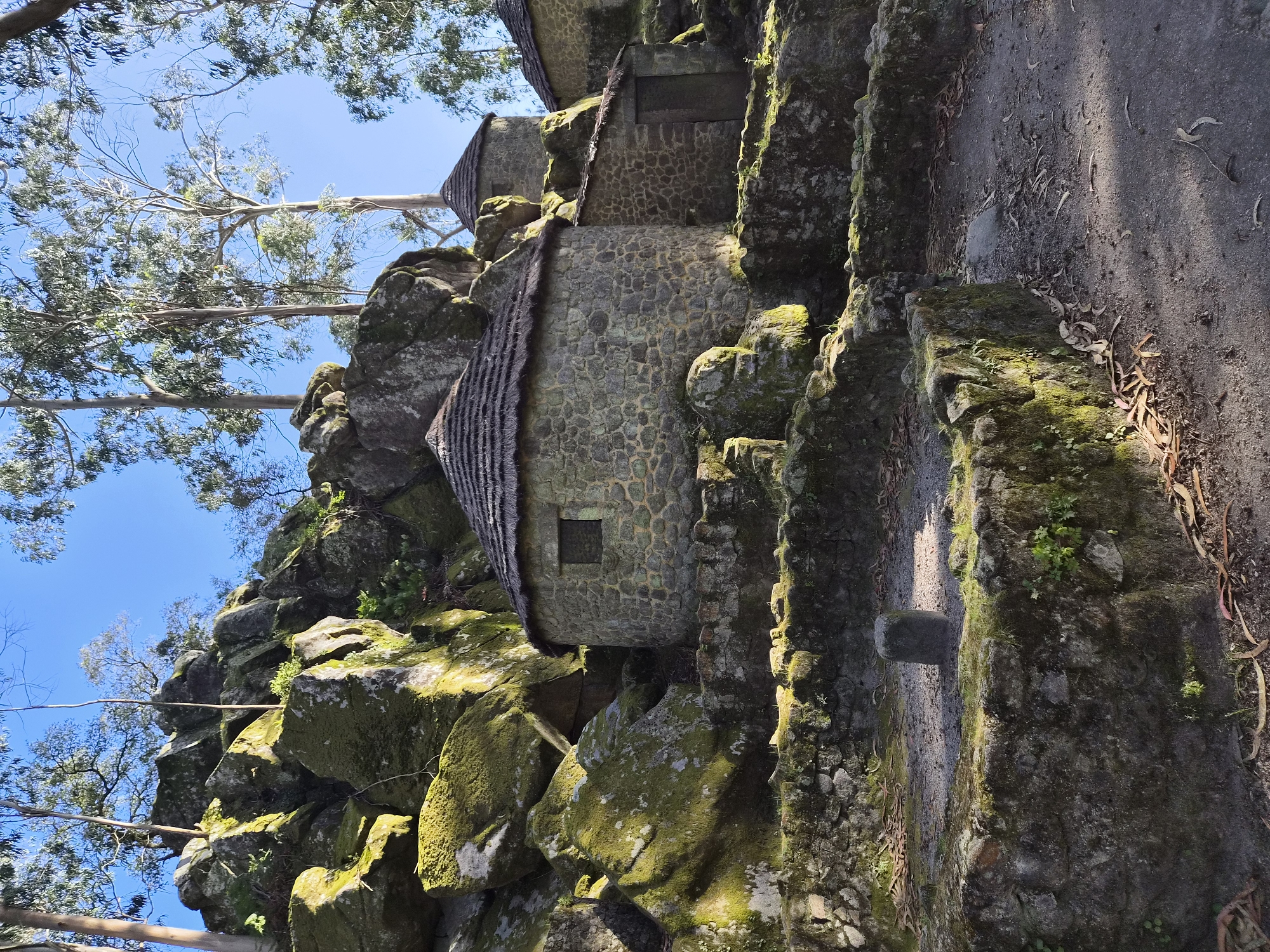 The image captures a stone structure known as the Castro de São Lourenço, located in Vila Chã, Esposende, Portugal. The structure, possibly a reconstructed or preserved ancient dwelling, is built into a rocky hillside covered in moss. It appears to be constructed from rounded stones. It has a thatched roof and a small square window. Trees with sparse foliage are visible above and around the stone structure, contrasting against a clear blue sky. A stone wall and walkway run alongside the dwelling. The overall impression is one of antiquity and integration with the natural environment.