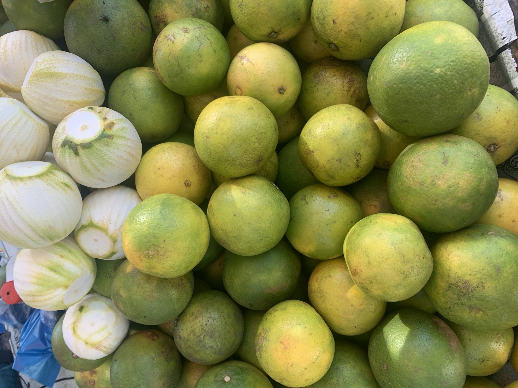 This close-up, high-angle shot captures a vibrant and abundant pile of fresh citrus fruits, likely pomelos or large grapefruits, displayed at a market stall in Dar es-Salaam, Tanzania. The fruits vary in ripeness, with many exhibiting green skins, while others show a transition to yellowish-green.
A significant portion of the fruits remains whole, showcasing their natural, slightly textured rinds, some with minor surface imperfections. Interspersed within the pile are several fruits that have been partially peeled, revealing a thick layer of white, spongy pith. This peeling highlights the interior structure of the fruit and suggests they are prepared for sampling or immediate consumption.
The fruits are densely packed and stacked high, filling almost the entire frame, conveying a sense of plentiful harvest and freshness. The natural, bright lighting indicates it is daytime. In the lower-left corner, glimpses of a blue plastic bag and other market items can be seen, providing context to the market setting. No people are visible, and there is no discernible text. The scene is one of a bustling market with fresh produce readily available.
