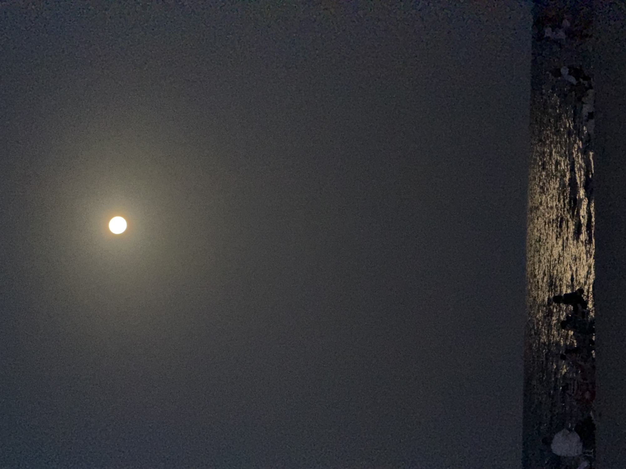 A full moon shines brightly in a dark, hazy sky above a calm ocean at night. The moon is positioned in the upper center of the frame, casting a shimmering path of light across the water. The surface of the water appears to be gently rippling. In the foreground, several people are gathered on the shore, silhouetted against the moonlight. Some individuals are sitting on chairs or blankets, while others appear to be standing. They are facing the water and the moon, seemingly enjoying the nocturnal spectacle. The overall scene conveys a sense of peacefulness and serenity. The location is the city of Hollywood, United States of America.