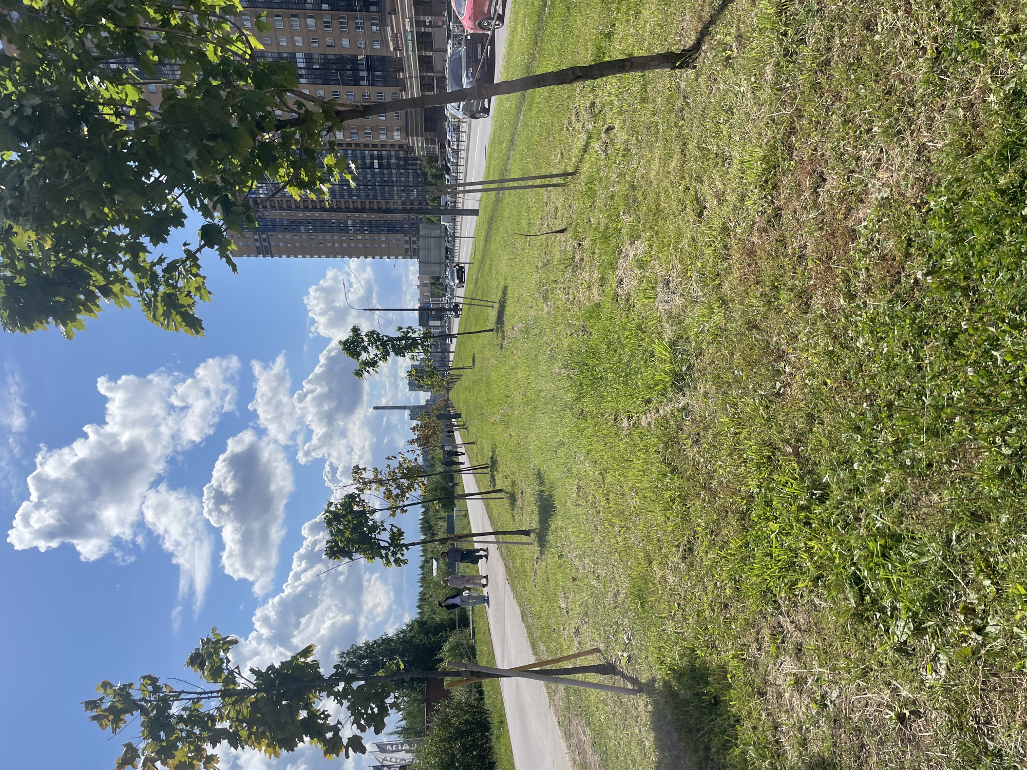 In Pargolovo, Russia, on a sunny day with scattered white clouds, a wide paved pathway runs along a grassy median lined with young trees. To the right of the median, a multi-lane road carries several cars, and beyond that, a tall, modern apartment building dominates the skyline. On the pathway, three individuals are walking away from the camera, two appearing to be female and one male. The grassy area is verdant with some patches of dry grass. The overall scene depicts a well-maintained urban green space adjacent to a busy thoroughfare.
