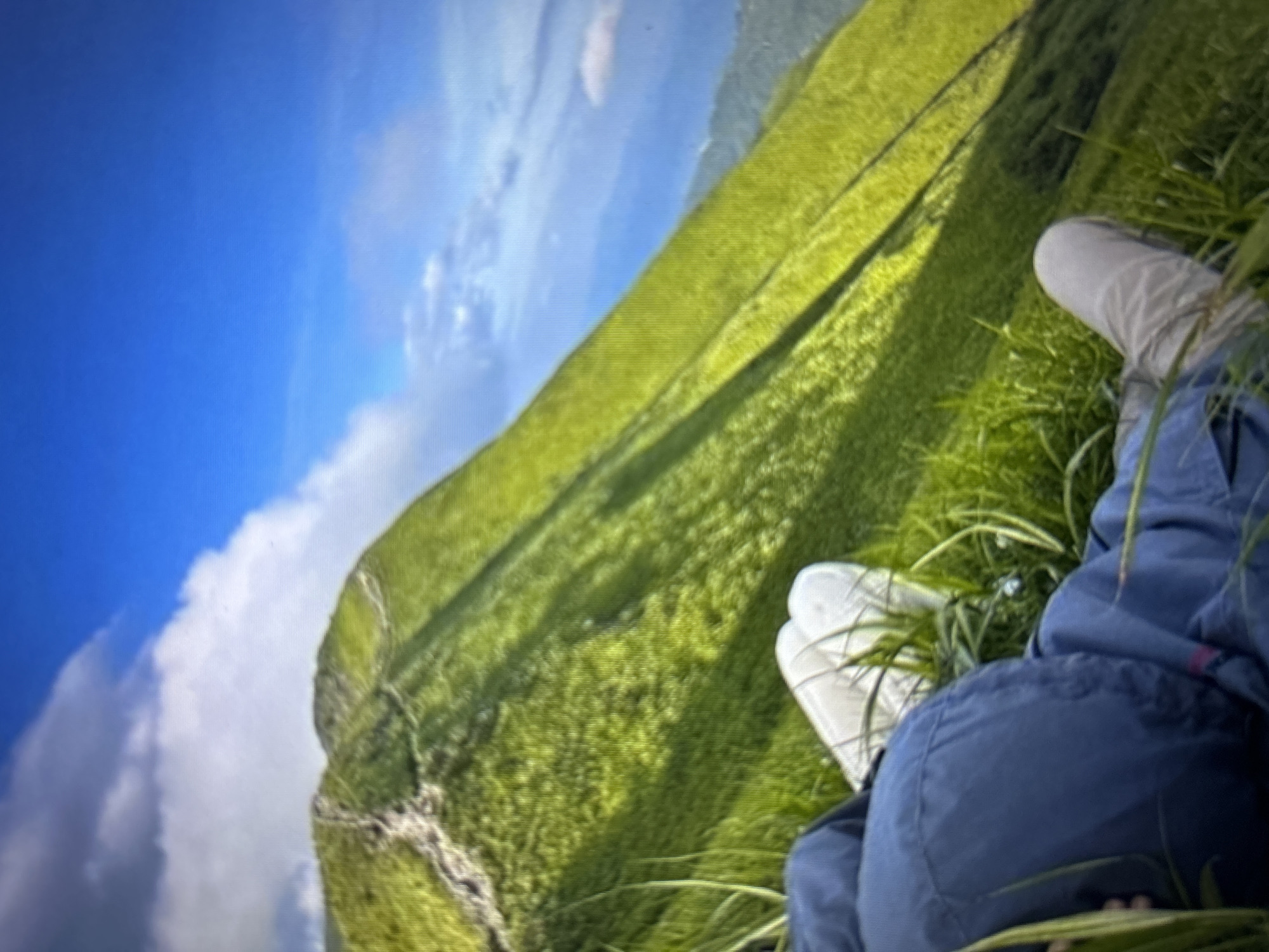 The image displays a panoramic view of verdant hills and sky, with a person resting in the foreground, located in the city of Burgas, Bulgaria. In the immediate foreground, an individual is observed lying down in dense, green grass. The person is wearing a dark blue jacket or top and light-colored trousers, with white footwear visible on their feet. Their posture suggests they are reclined, facing away from the viewer towards the expansive landscape. The midground is dominated by a large, steeply sloped hill covered in vibrant green grass, exhibiting a textured surface and a discernible winding path or ridge line ascending its side. Beyond this, further undulating green hills extend into the background. The upper portion of the image reveals a clear, bright blue sky with scattered white cumulus clouds. Distant landmasses are faintly visible on the horizon beneath the cloud line. The scene depicts a serene, elevated natural environment under clear daytime conditions.