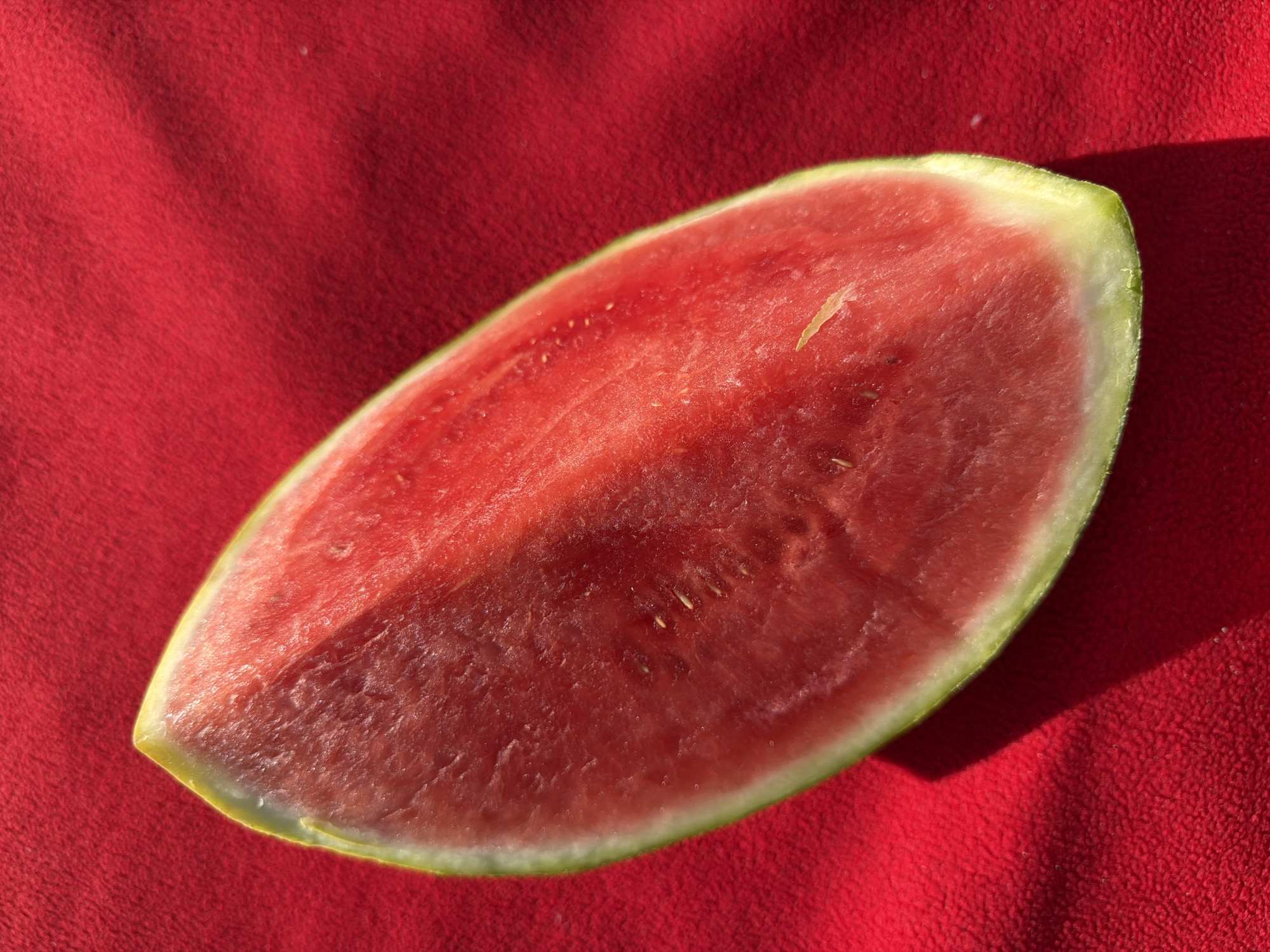 A close-up photograph depicts a wedge-shaped slice of watermelon resting on a textured red surface. The watermelon exhibits a vibrant red flesh speckled with dark seeds, encased by a rind that transitions from a pale green to a darker green hue. A portion of the watermelon is shadowed, creating a contrast in the light across its surface. The red surface underneath the watermelon has a plush, fabric-like texture. The image is likely taken outdoors, as suggested by the natural lighting. There is no other evidence to connect this image to Vancouver, Canada.