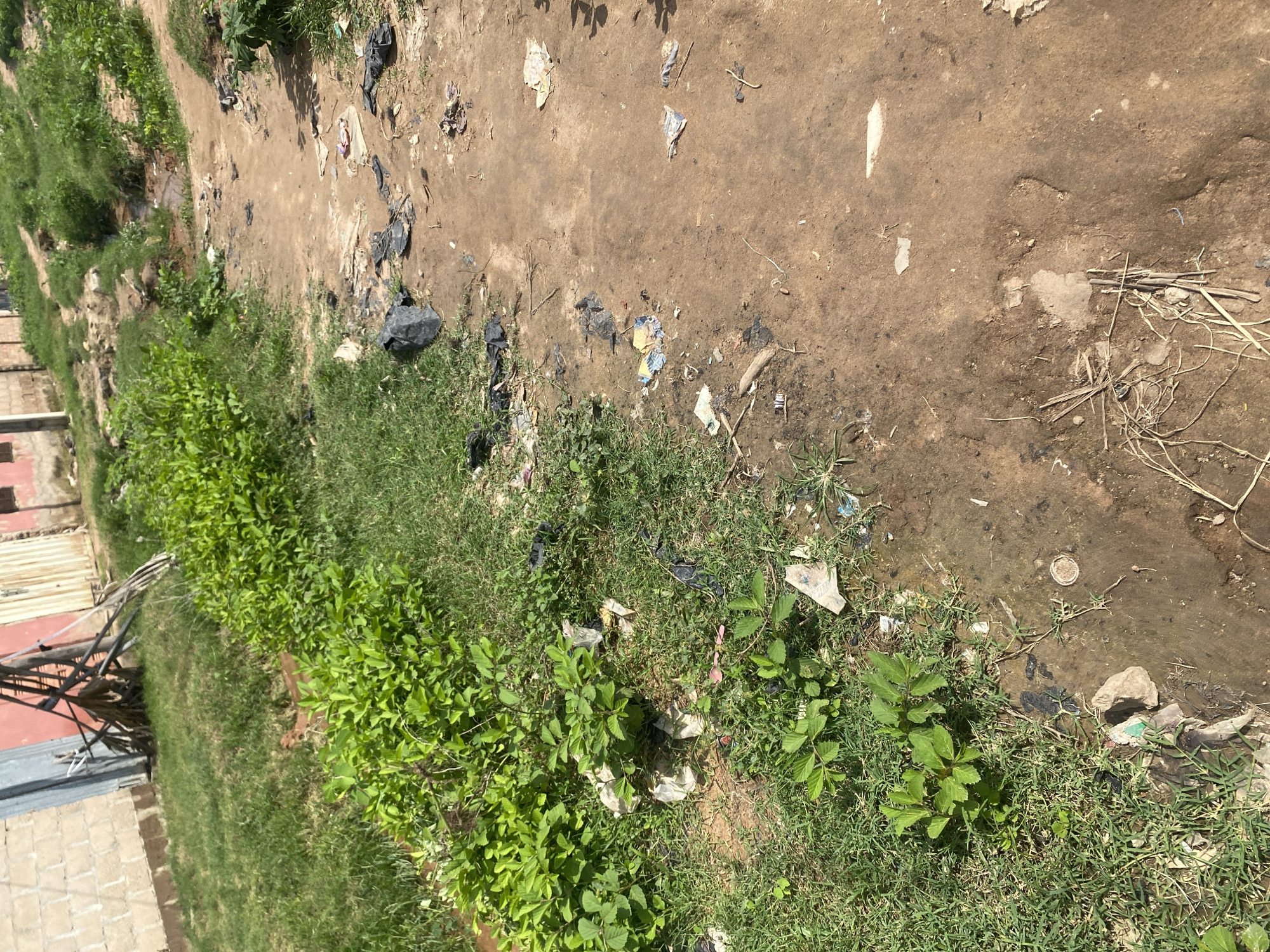 The image depicts a dirt path bordered by a grassy area with lush green vegetation on one side and a rough, unpaved surface on the other. Scattered across both the path and the grassy area is a significant amount of litter, including plastic bags, paper scraps, and other debris. Some of the plastic bags are black, while others are translucent or colored. There are also a few rocks and dry twigs visible on the ground. In the background, a glimpse of what appears to be a building with a corrugated metal roof and a brick wall can be seen. A bicycle is partially visible on the left side of the image, leaning against something.
The scene is outdoors, likely in a rural or semi-urban area of Jauro Yinu, Nigeria, given the context. The lighting suggests it is daytime, possibly morning or afternoon, with the sun casting shadows. The weather appears to be dry. There is no discernible activity or event taking place, and the overall impression is one of neglect and environmental pollution due to the widespread litter. No visible text is present in the image.
