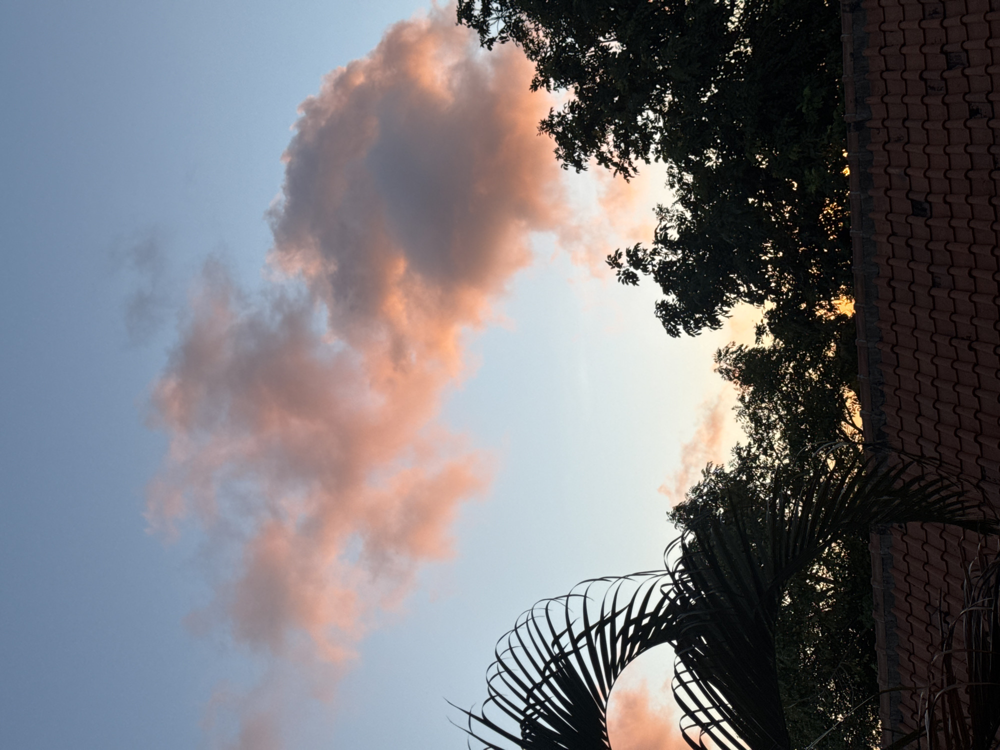 The image, taken from a low angle in Ungasan, Indonesia, depicts a sky with pink-tinged clouds. Silhouetted against the sky are the branches and leaves of trees. A portion of a tiled roof is visible on the right side of the frame. The leaves of a palm tree are in the foreground.